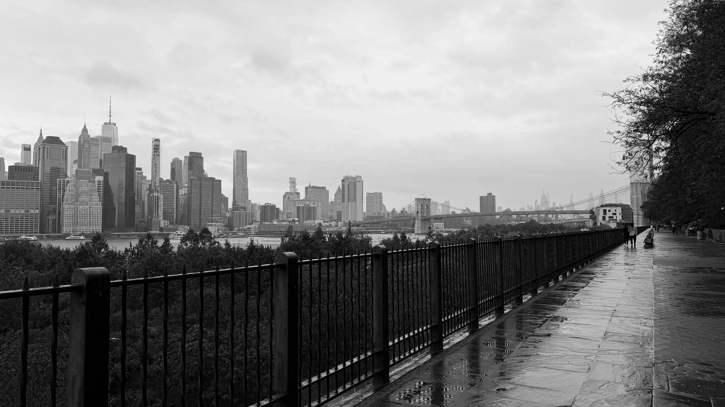 A photo of from the Brooklyn Heights Promenade near Brooklyn Heights Jiu Jitsu Academy.