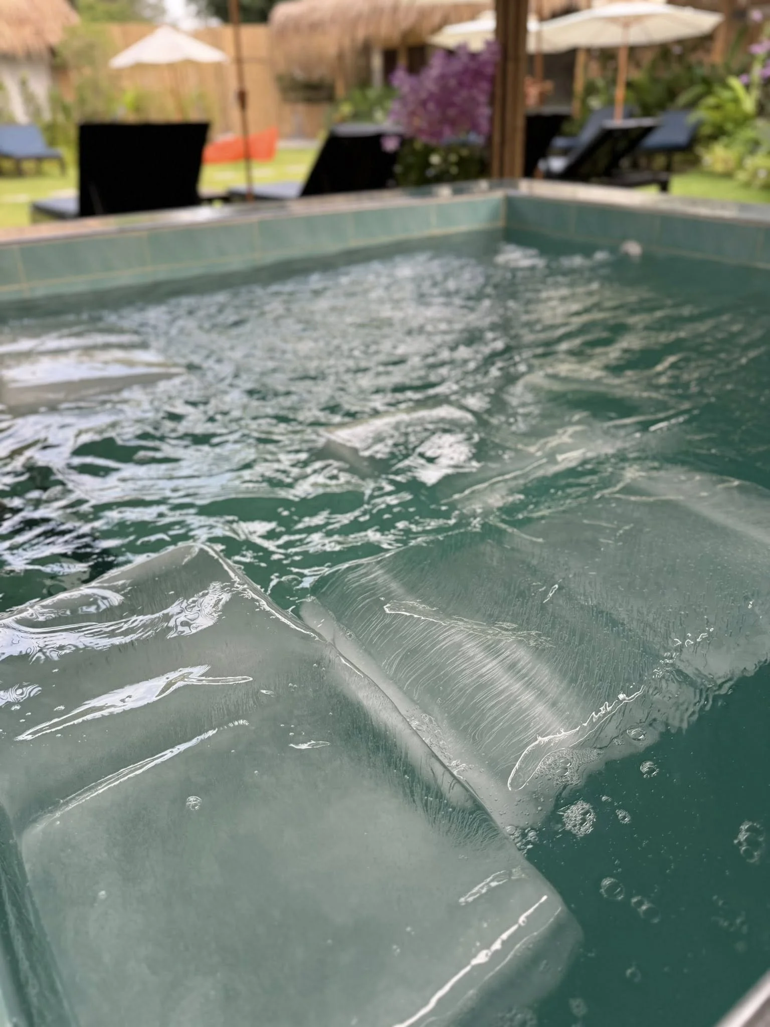 Cluster of pale yellow and pink plumeria flowers in front of a wooden sauna building with a thatched roof, sign reading "SAUNA," outdoor seating area, and string lights.