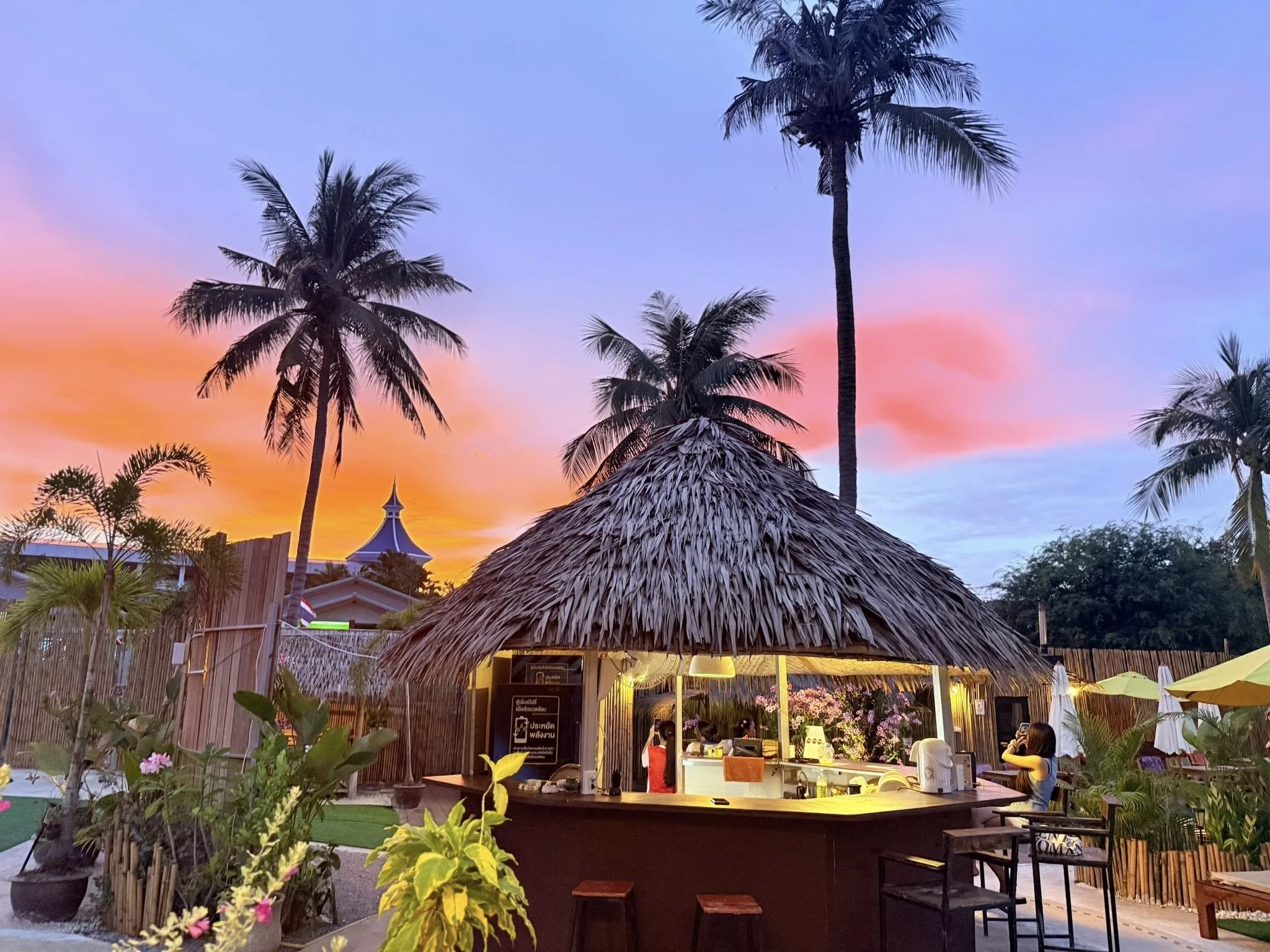 Tropical outdoor bar with thatched roof at beach, surrounded by trees and colorful sunrise sky with blue, yellow, and orange hues.