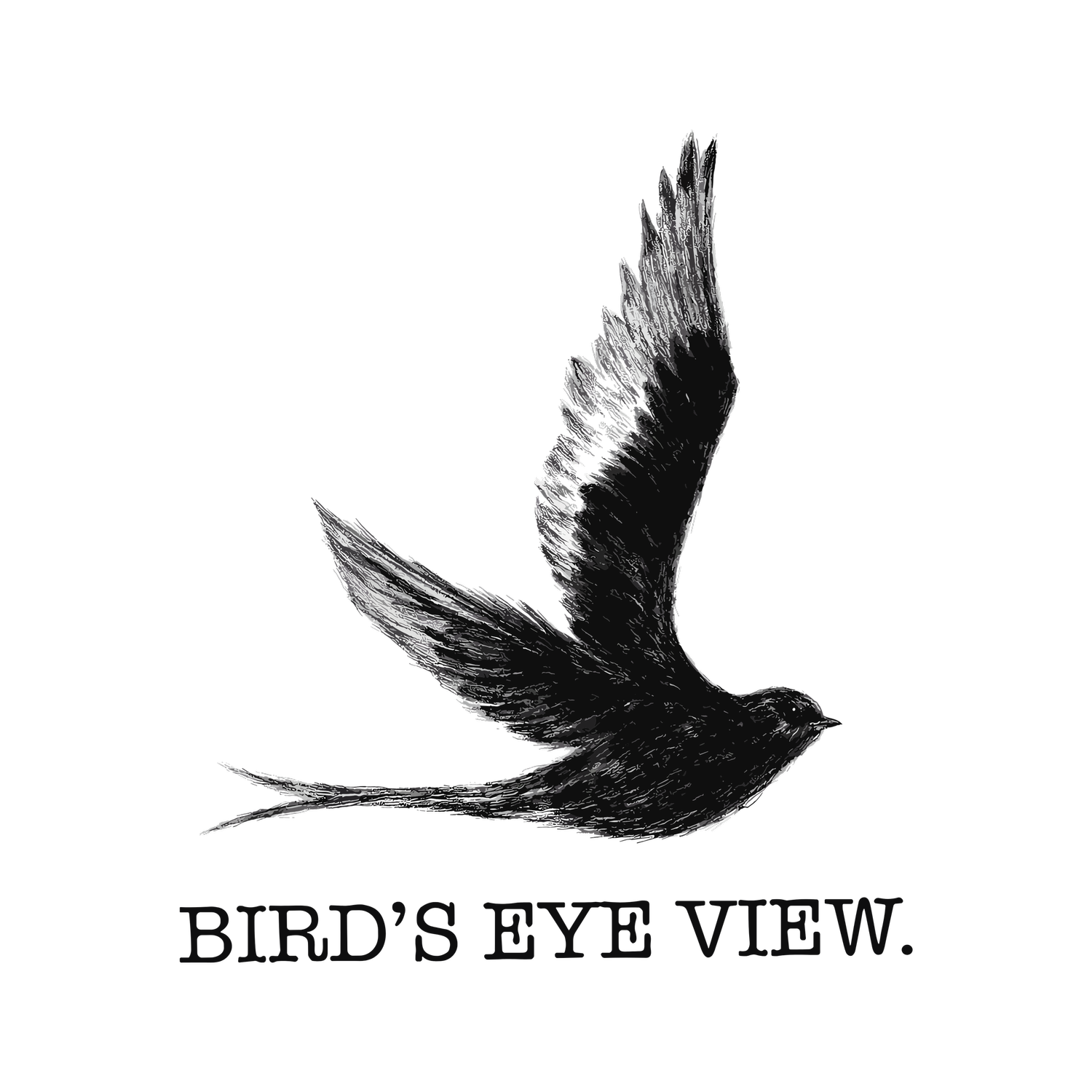 Bird's Eye View | QDDP Consulting