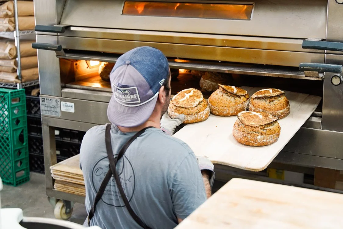 doughs.jpg