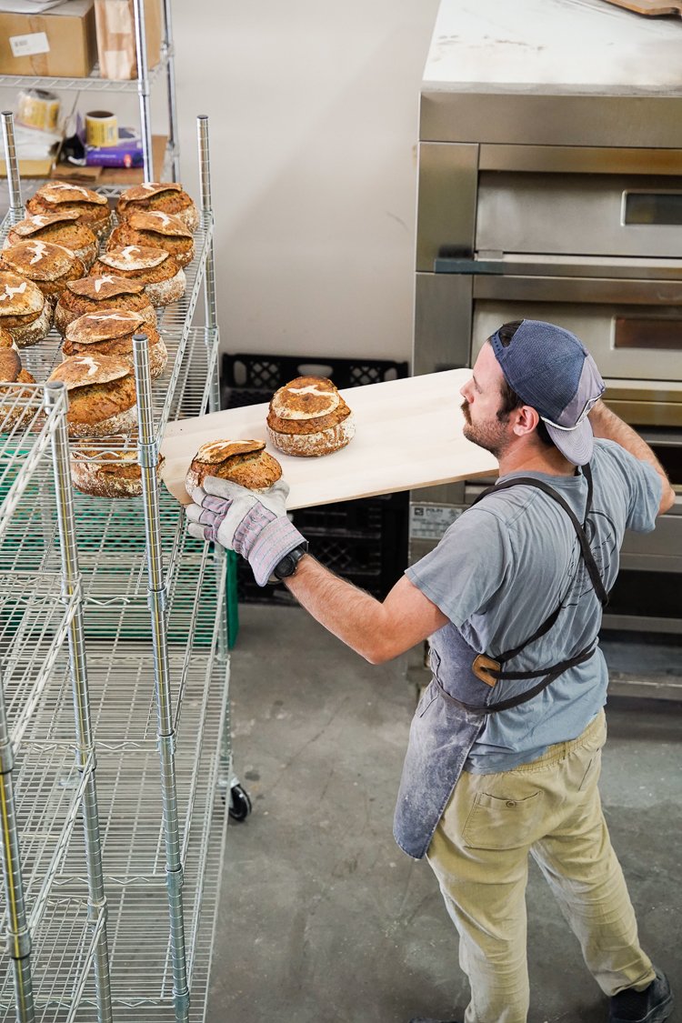 doughs-19.jpg