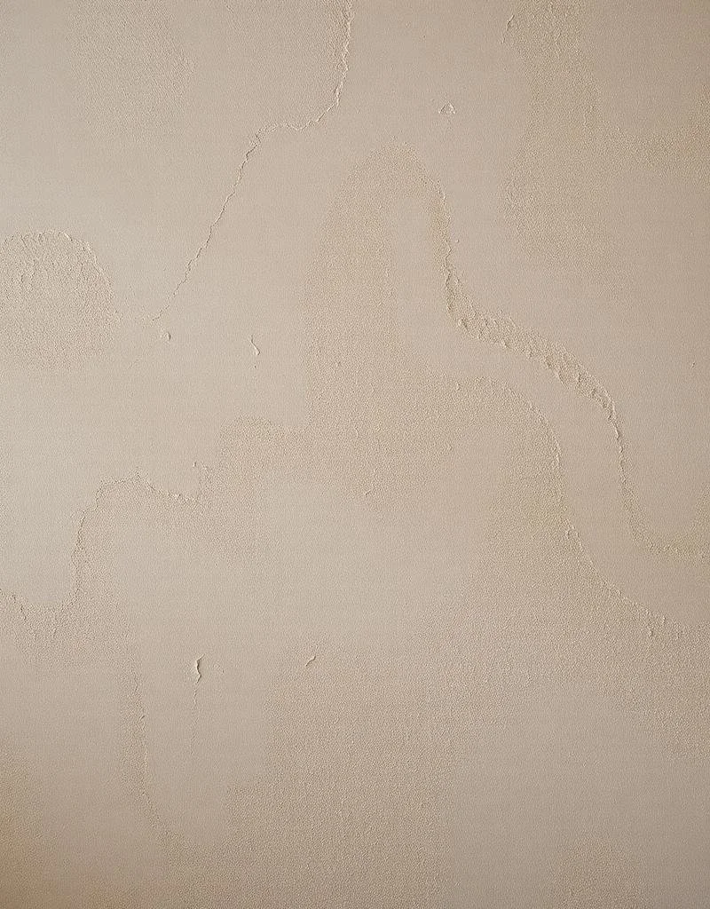 Decorative & Mineral Finishes