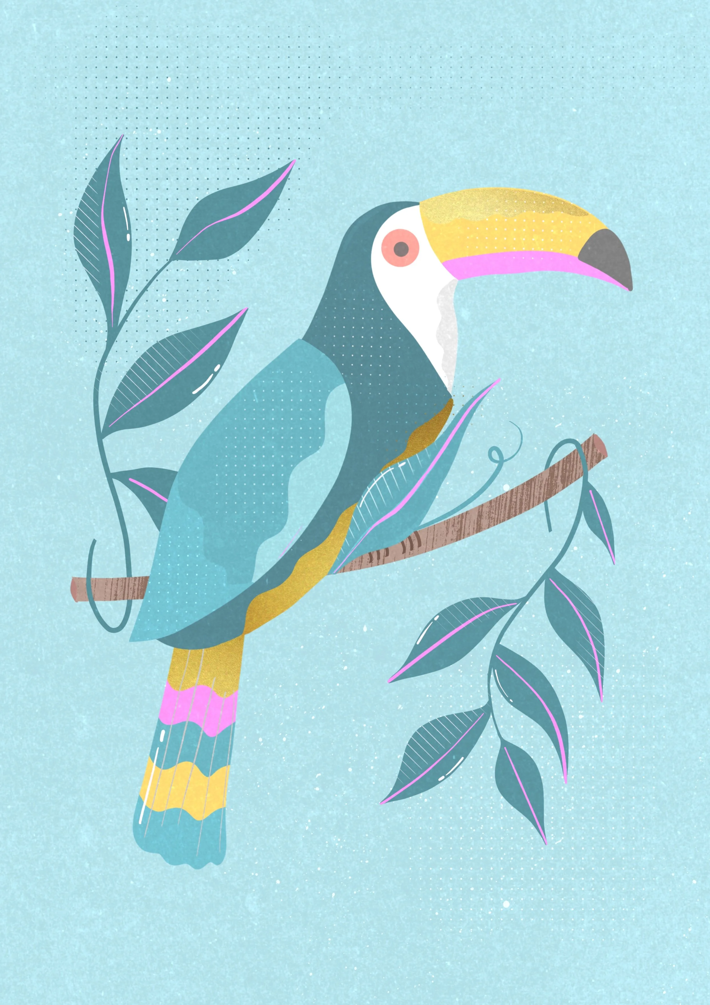 Toucan, 2025
