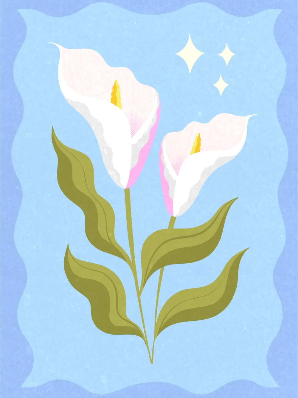 An illustration of two white calla lilies with green leaves on a blue background with three white stars.