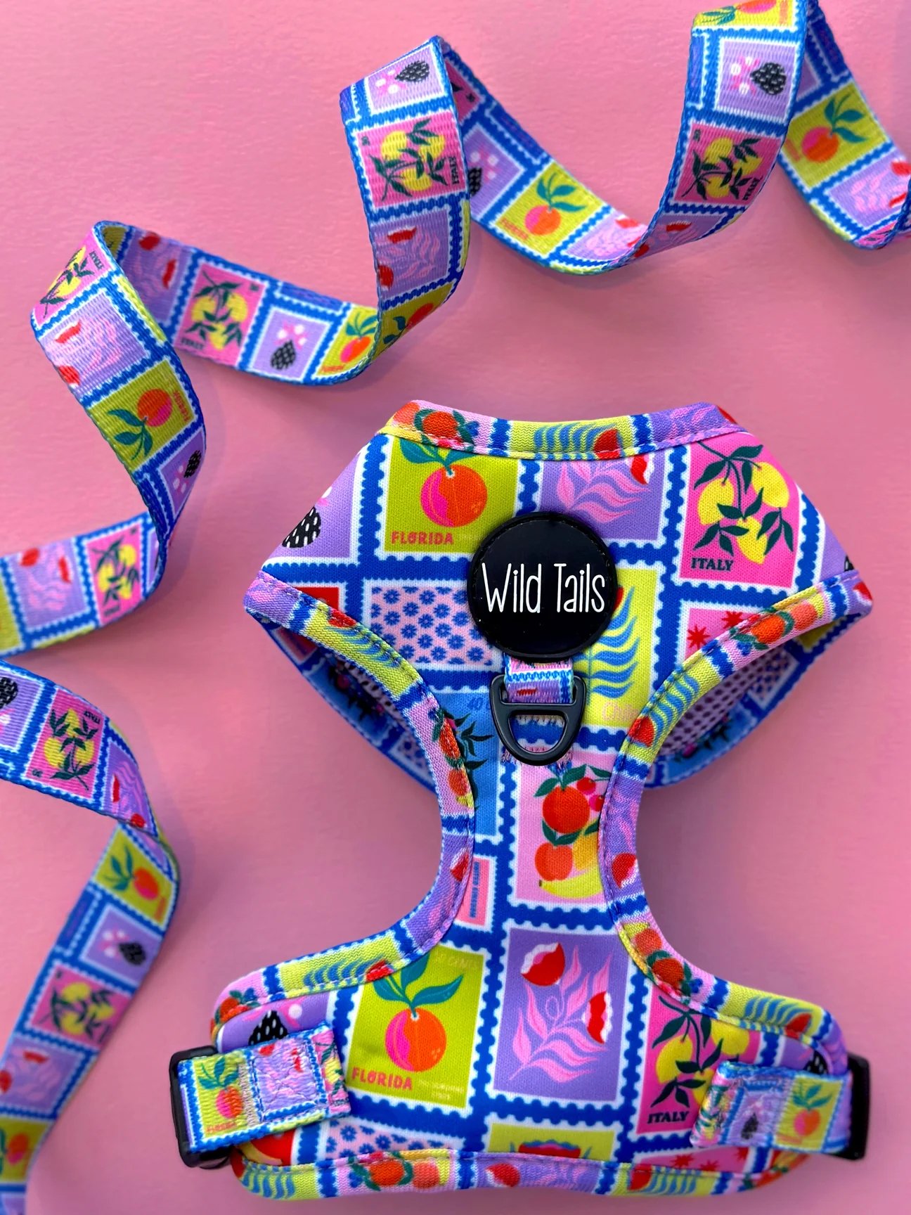 Colourful pet harness with a stamp pattern, featuring images of peaches, strawberries, flowers, and words like Florida and Italy, set against a pink background with a matching strap.