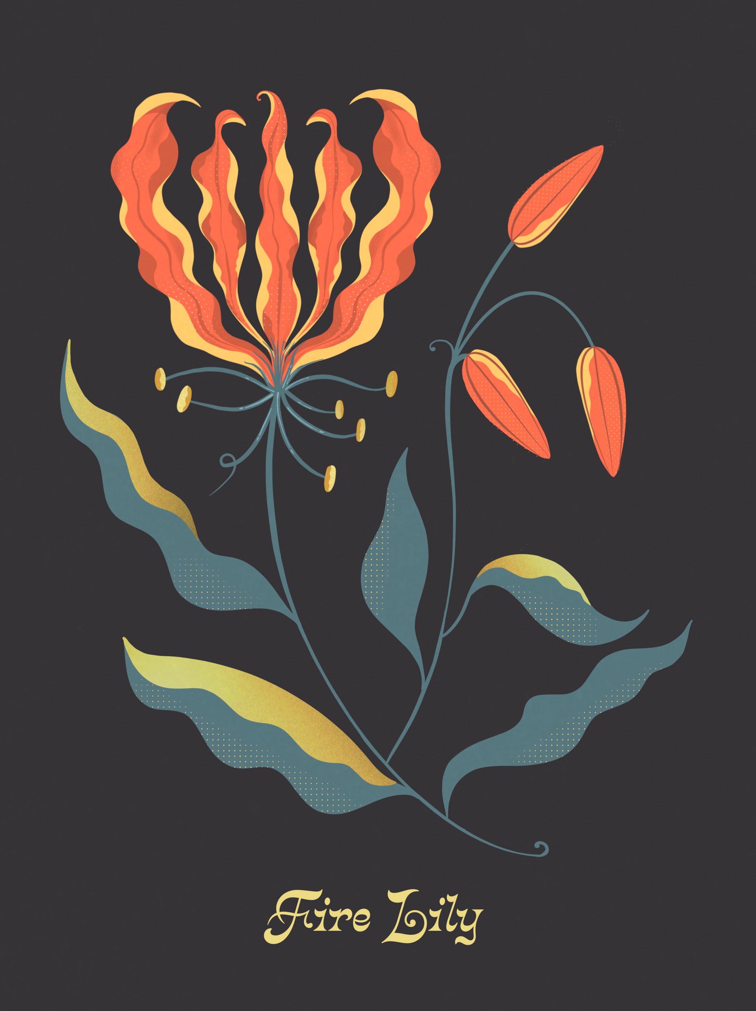 Fire Lily