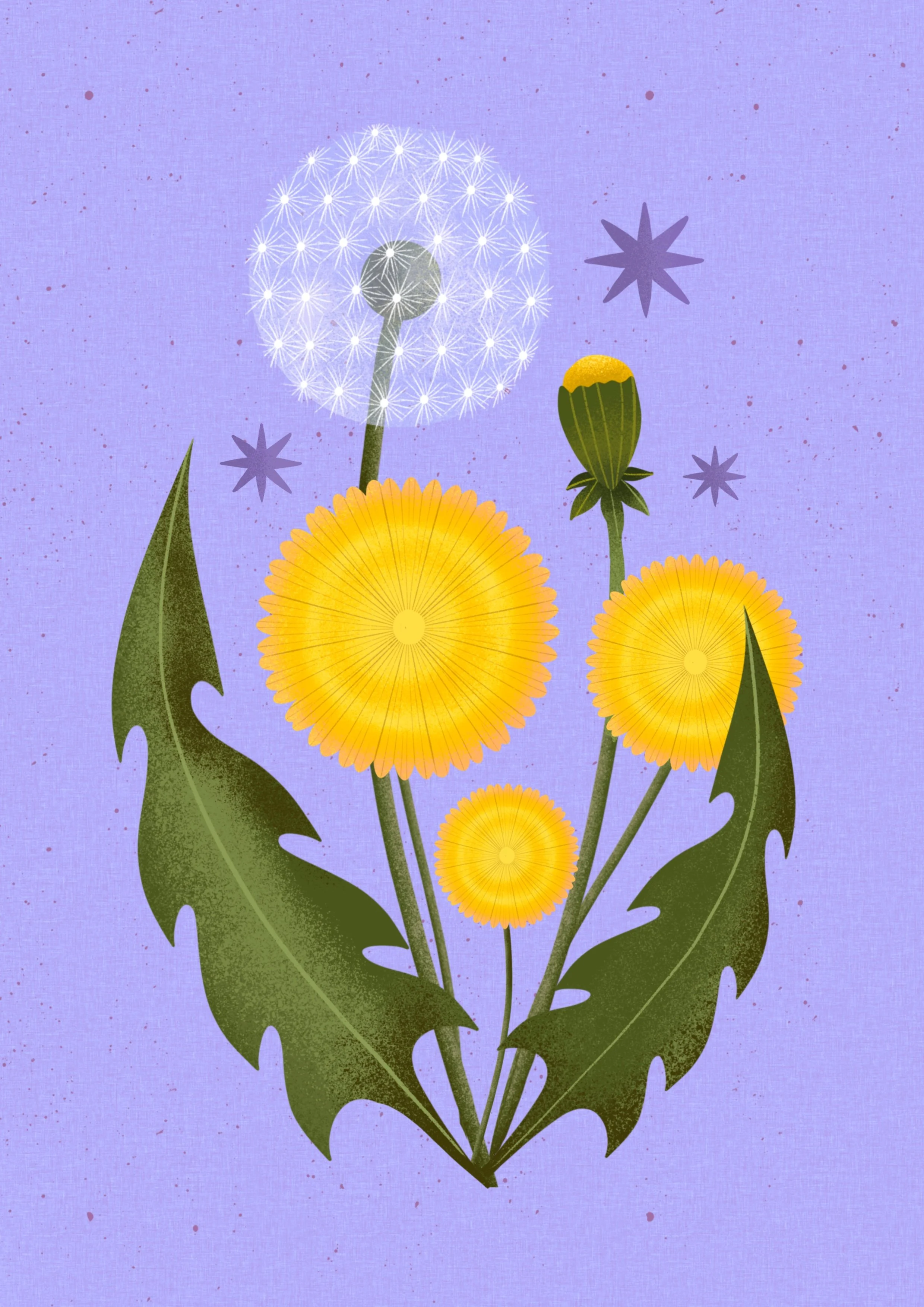 Digital illustration of a dandelion flower with yellow head, green leaves, and a seed head, against a light purple background with small purple and red speckles and purple star-like accents.