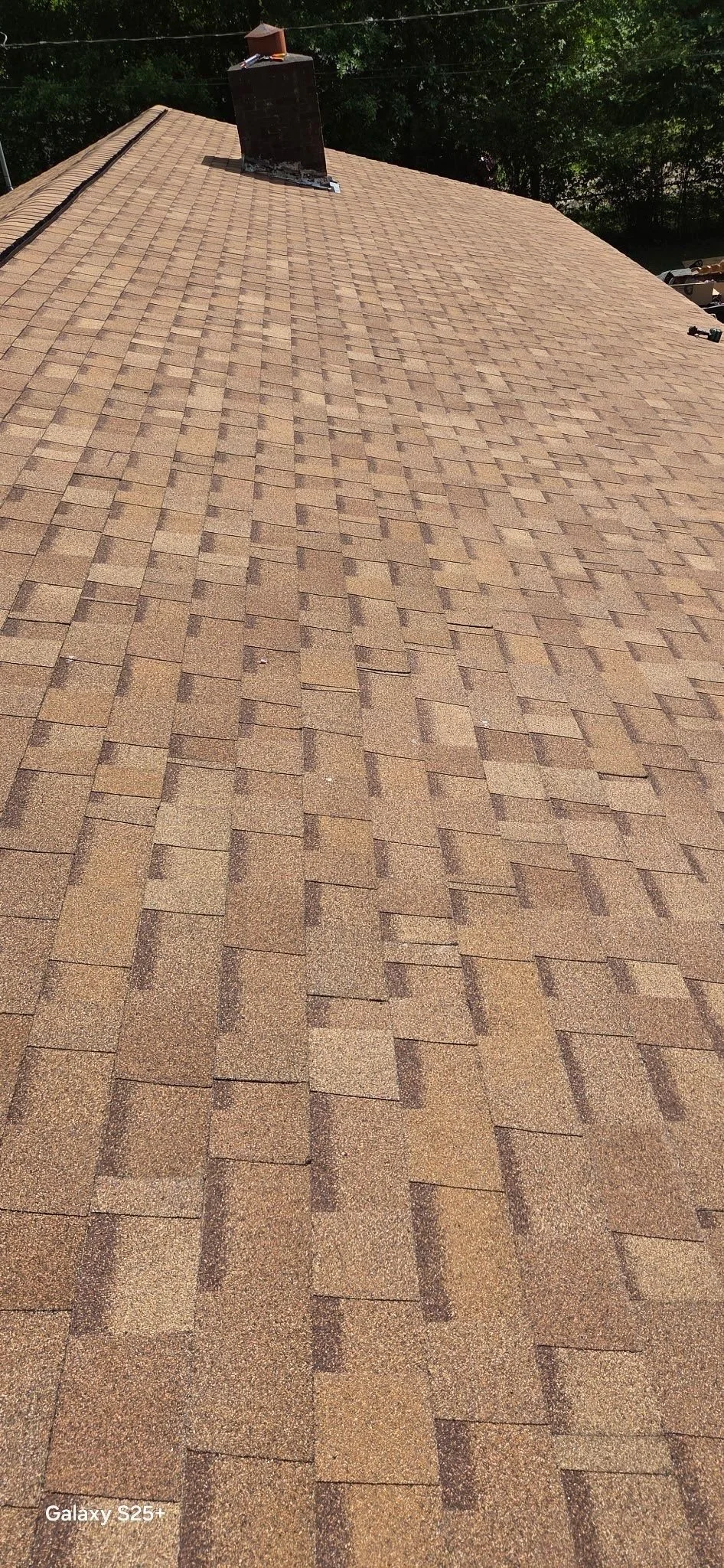 View of a sloped roof with brown asphalt shingles, a chimney near the top, and trees in the background.