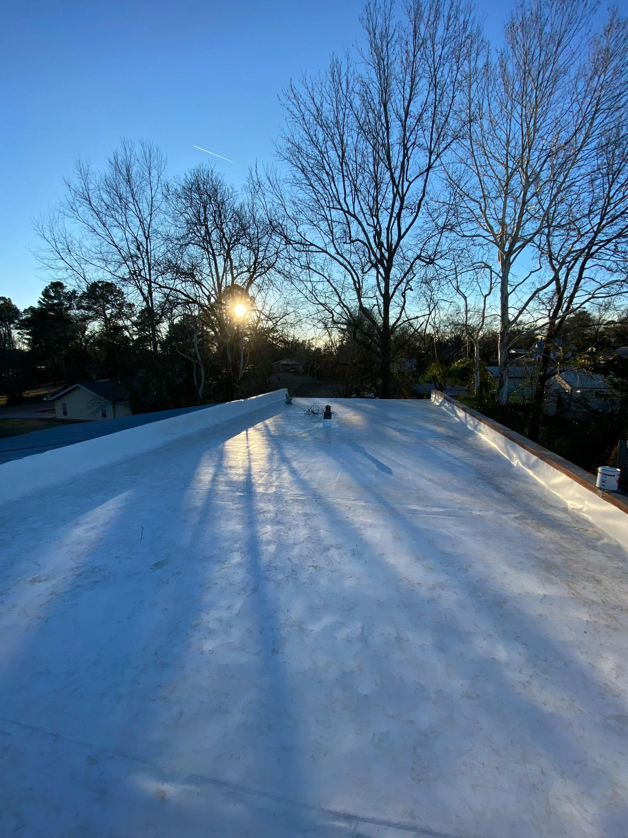 View of a flat rooftop covered with a white reflective material, with shadows cast by nearby trees. The sun is setting in the background, and leafless trees are visible against a clear blue sky.