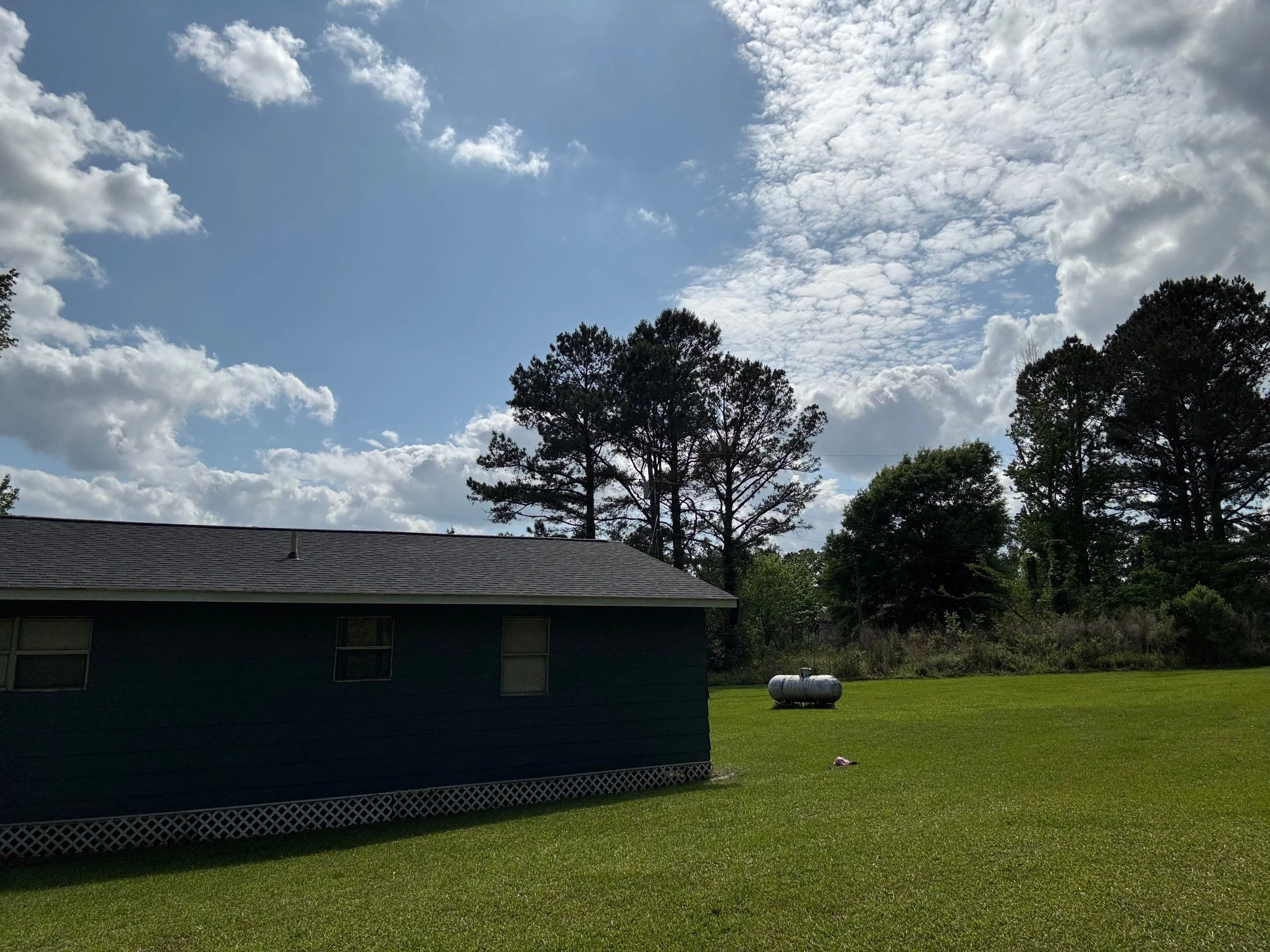 A backyard scene with a green house, tall trees, clouds in the sky, a propane tank, and a purple toy on the grass.