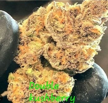 Double Kushberry (Inhouse) - 3 Pack