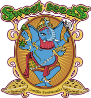 sweet-seeds-logo-1621255278.jpg