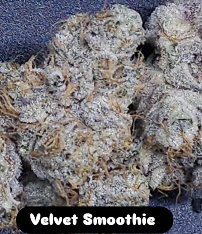 Velvet Smoothie - 3 Pack