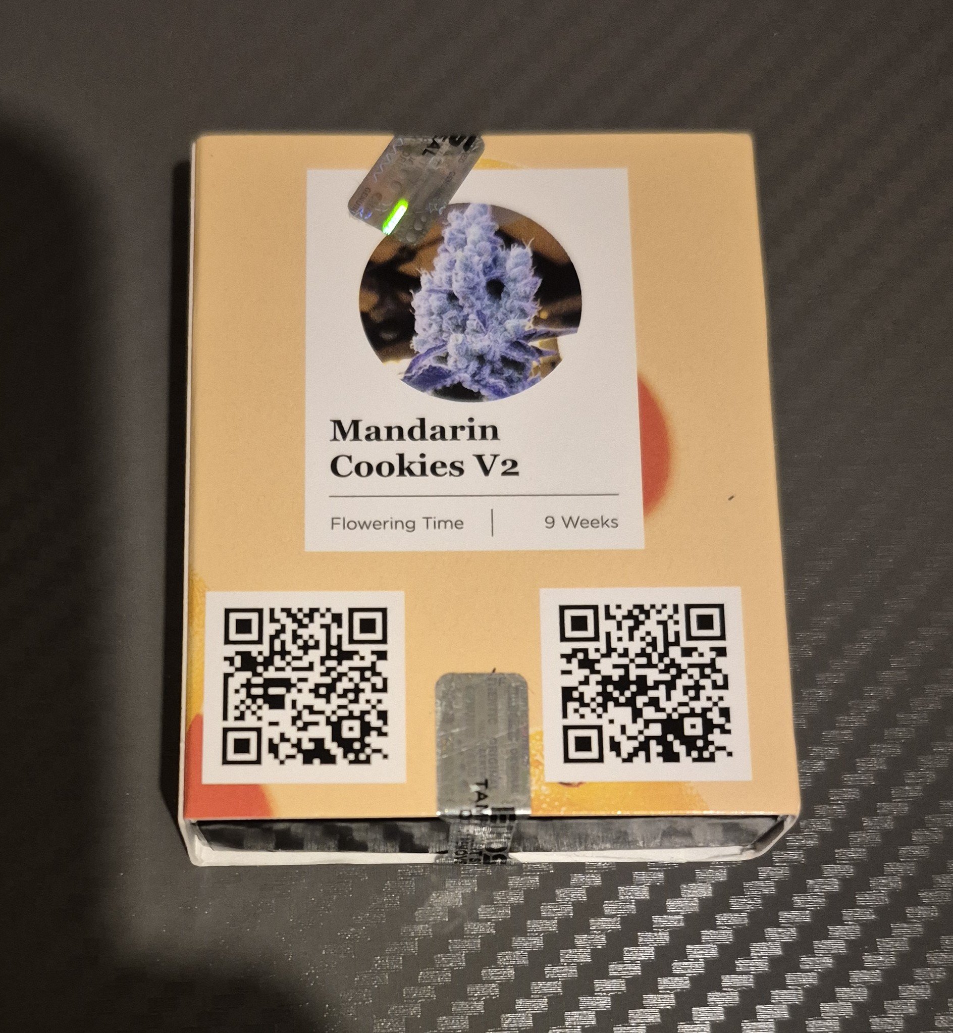 1000008152.jpg