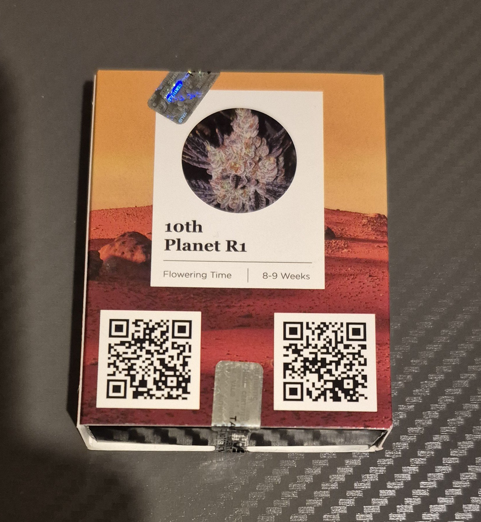 1000008158.jpg