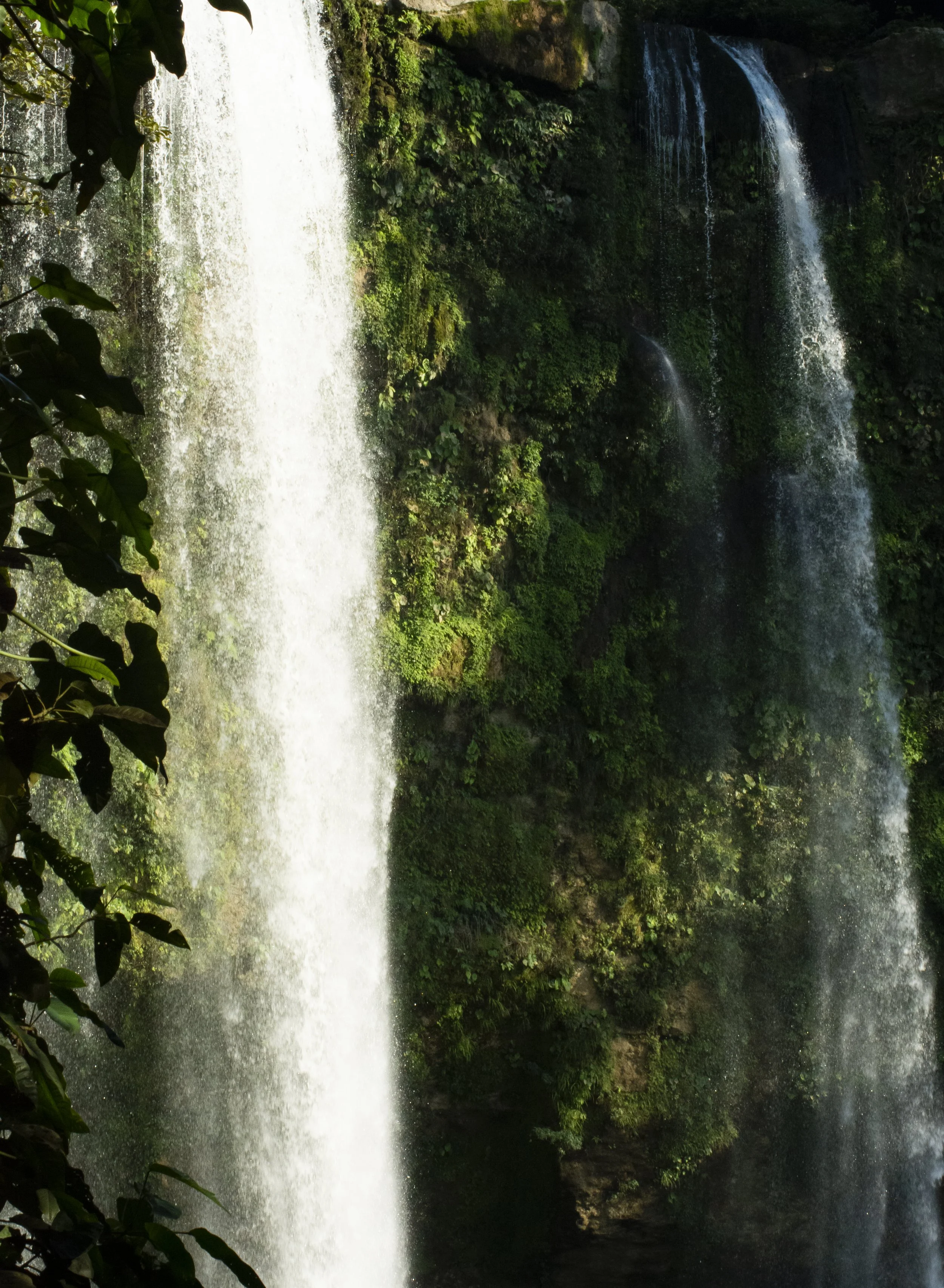 Craft a travel experience that’s uniquely yours. Whether you dream of quiet lagoons, jungle escapes, or cultural encounters, our team will shape every detail to match your rhythm, interests, and style.