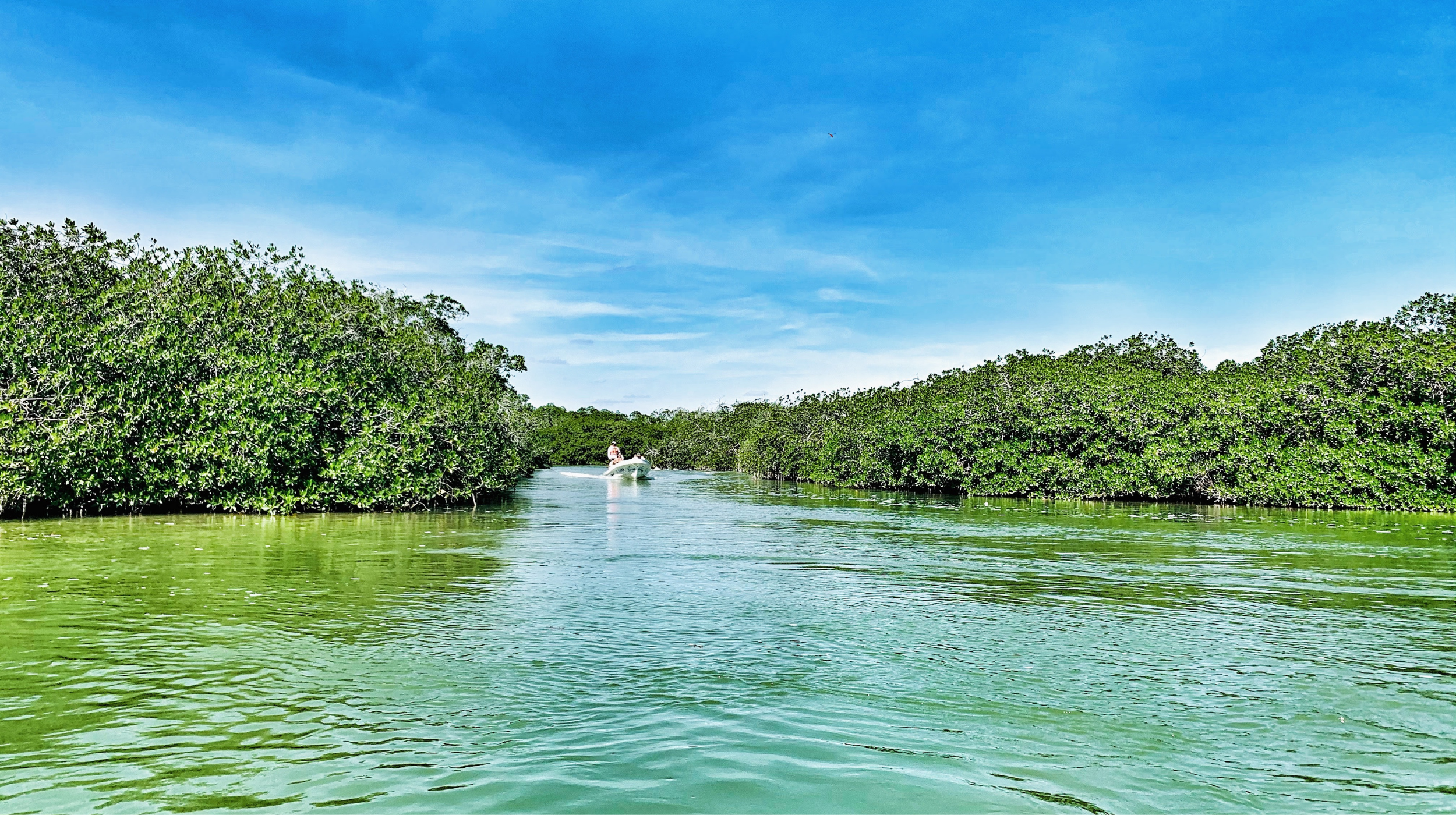 nature with the g travel