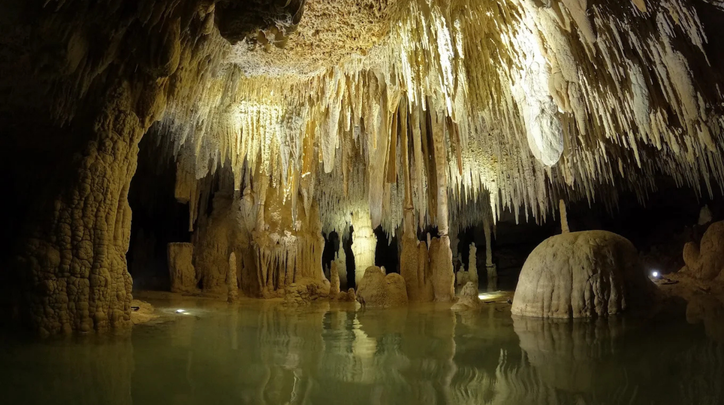 hidden cenotes with the g travel