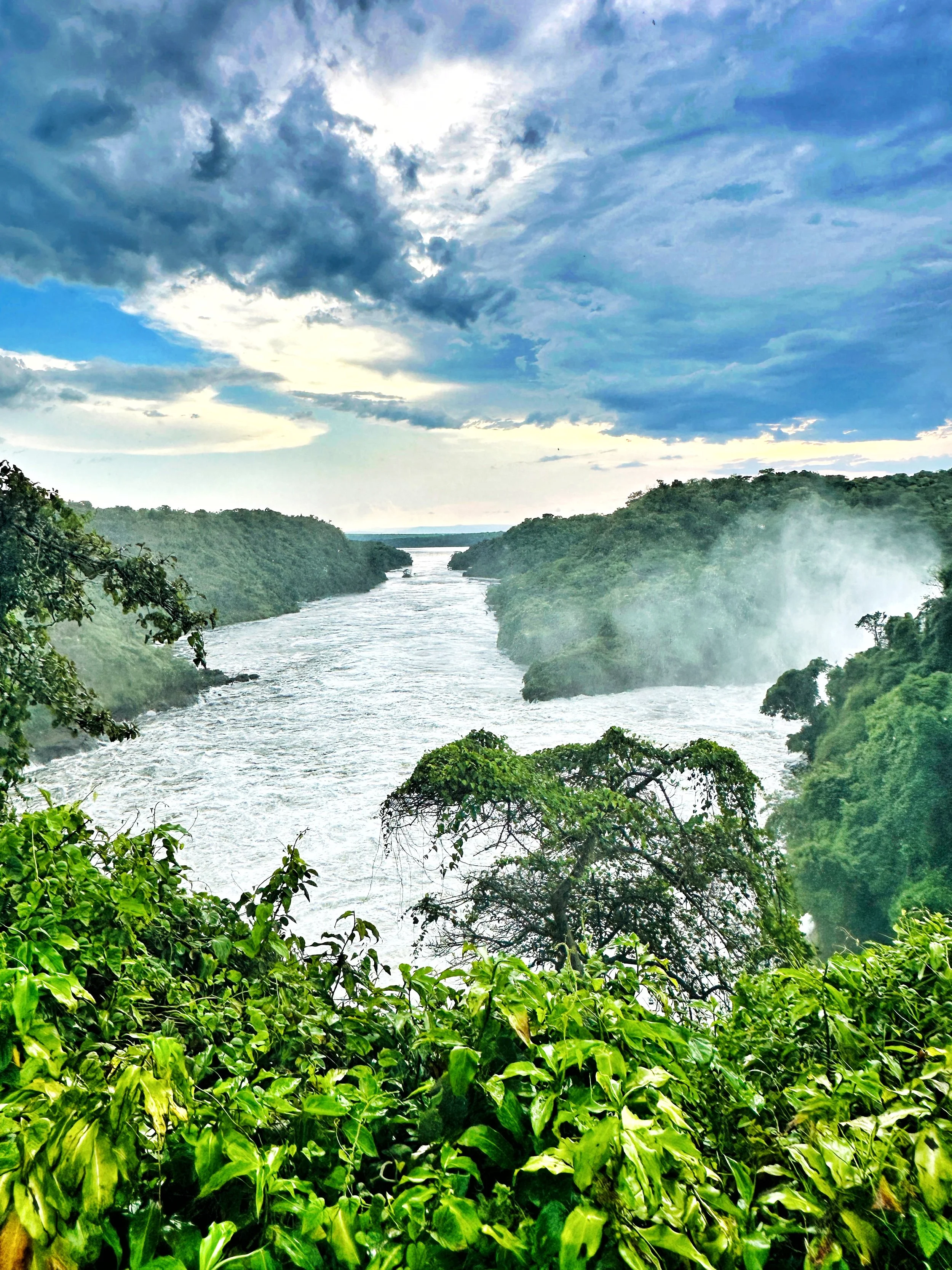 Gorilla Trekking Safari in Africa | G Travel