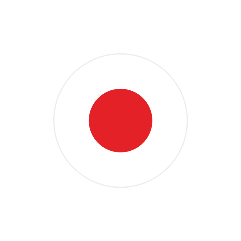 A simple graphic of a red circle inside a larger, faintly visible circle on a white background.
