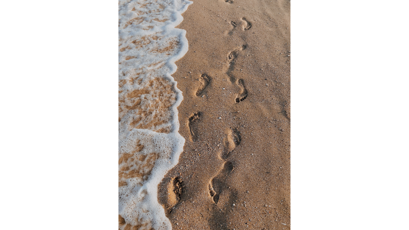 the best travel advice for traveles