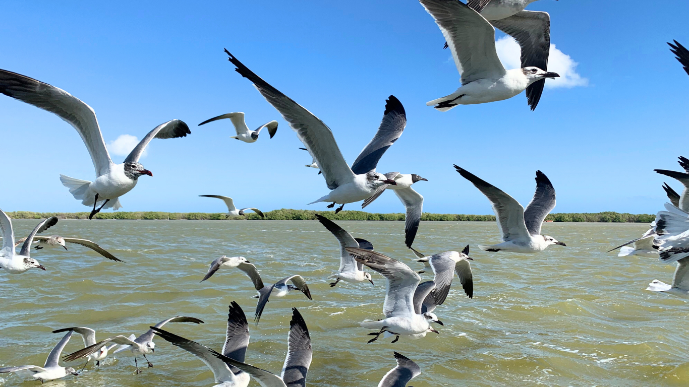 jewels of the maya peninsula, safe travels in Mexico