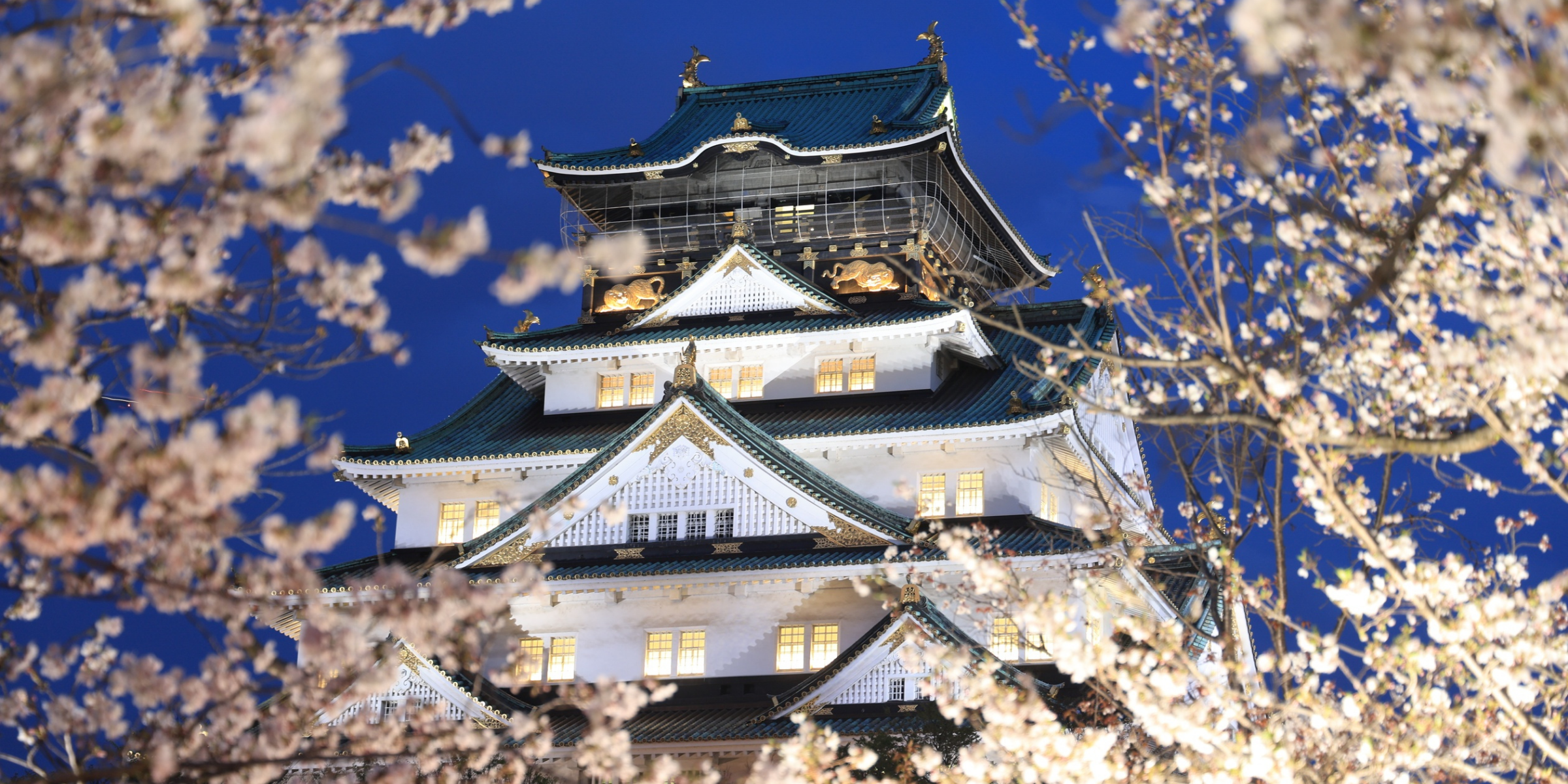 best Japan tours for first timers