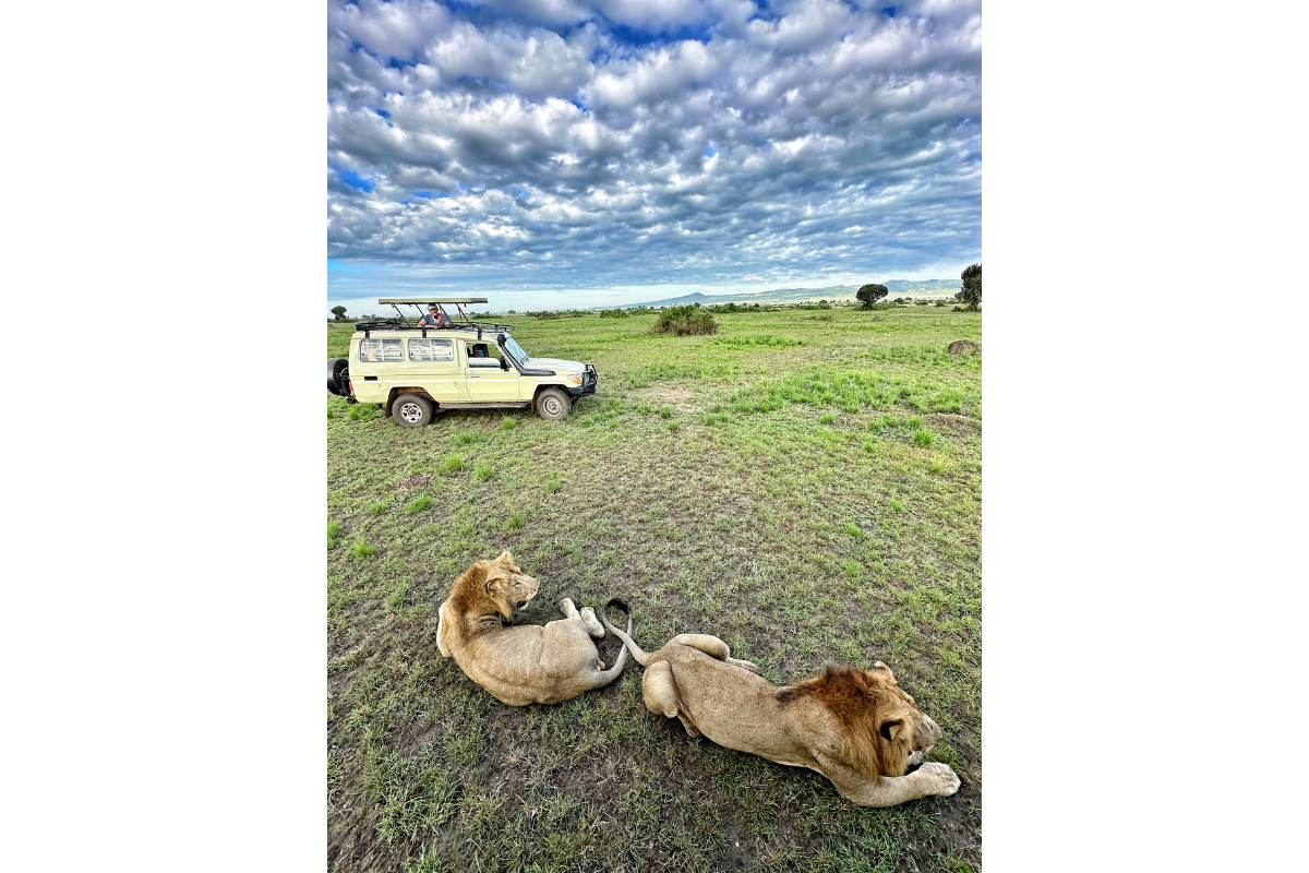 wildlife Trekking Safari: Africa's Most Genuine Wildlife Experience