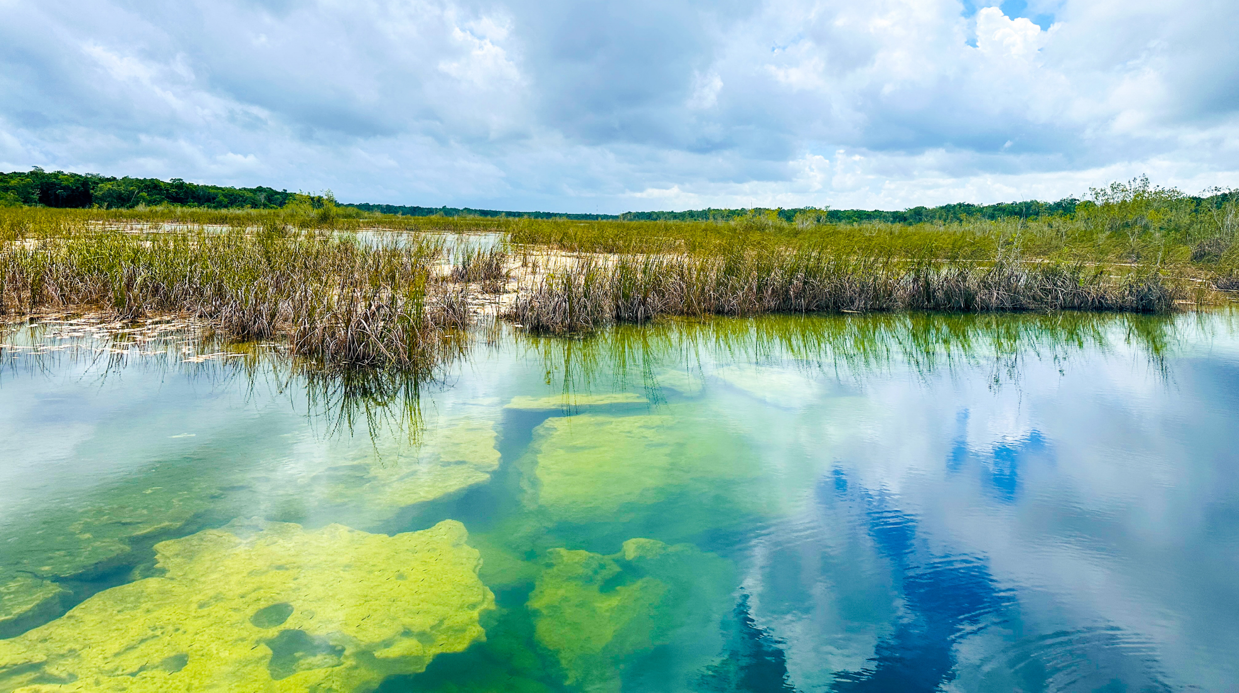 mayan sacred waters with the g travel