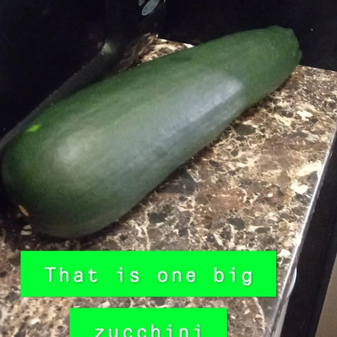 My friend kindly dropped this big one off. Zucchini noodles, bread and soup!