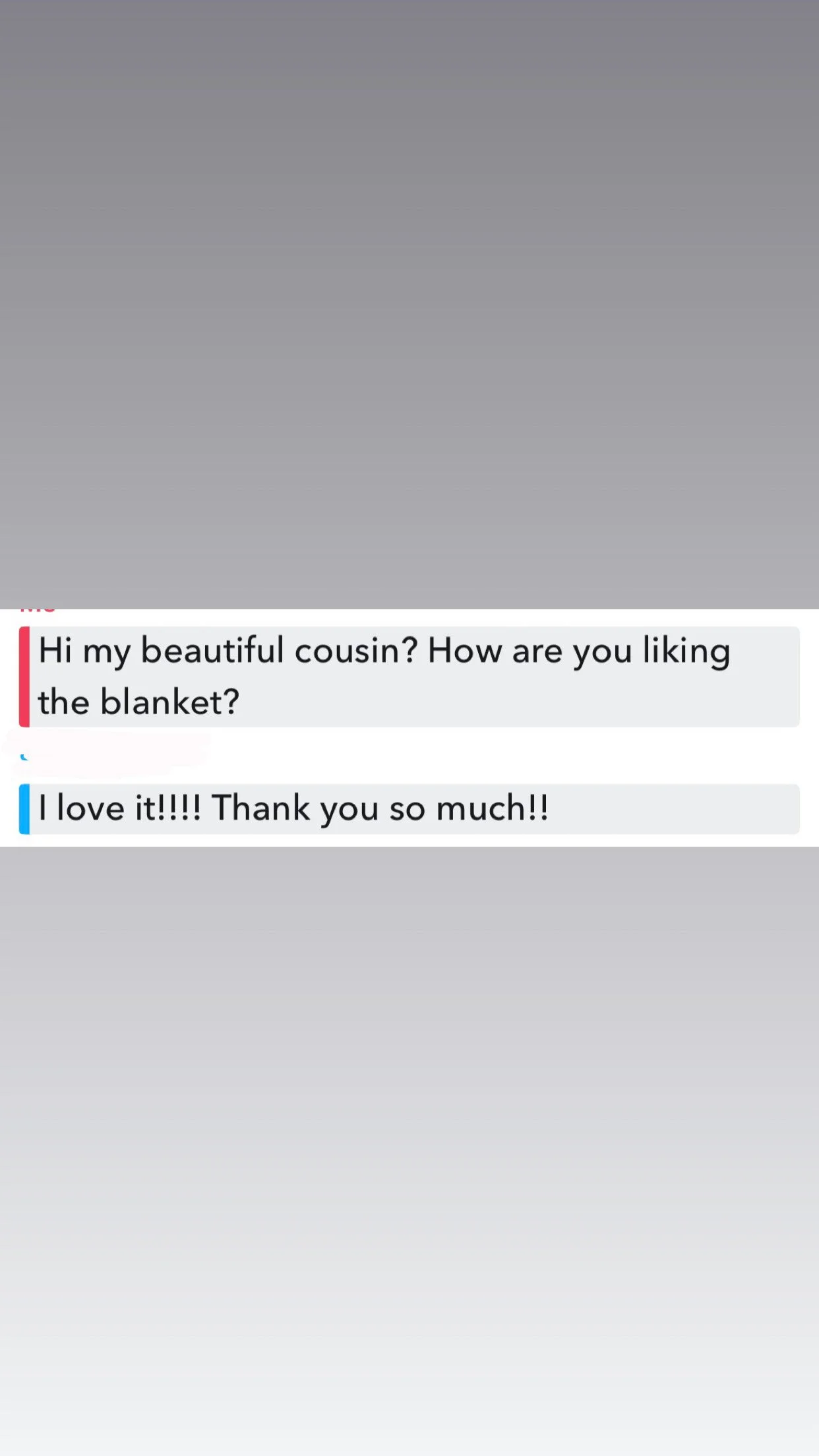 Text message conversation about a blanket, with one person saying they love it and thanking the other.