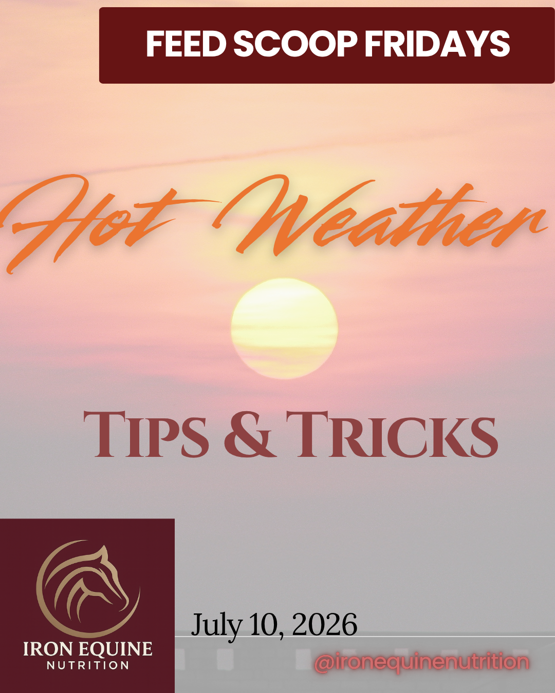 Hot Weather Tips &amp; Tricks