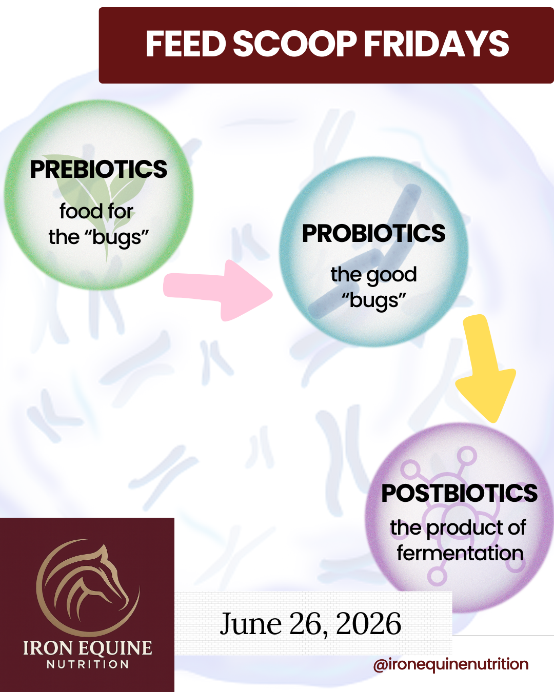 Postbiotics