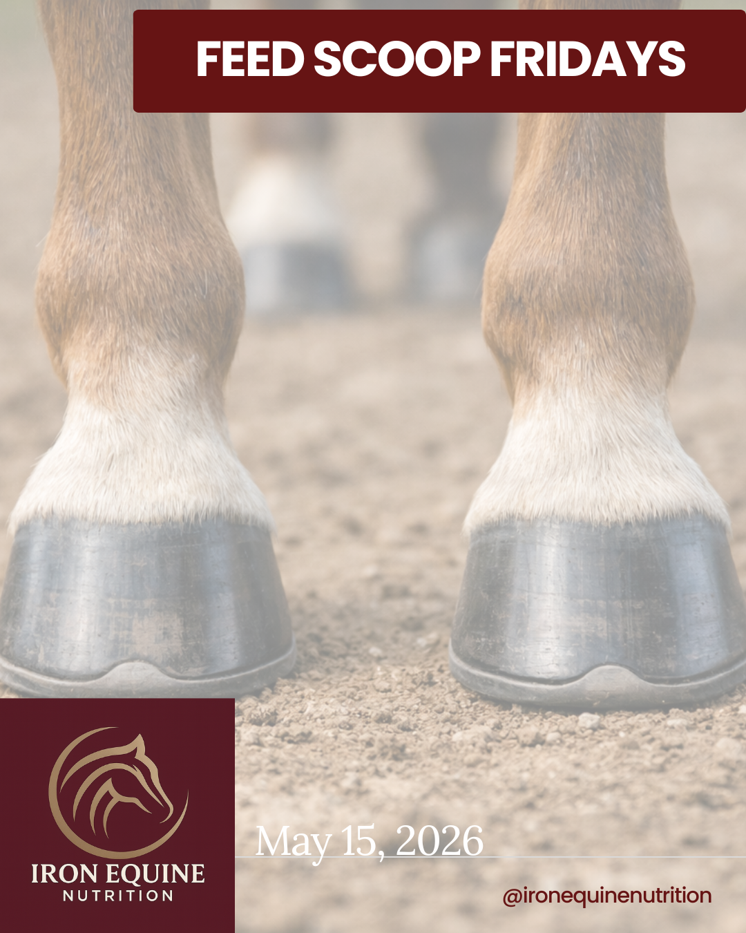 Hoof Supplements