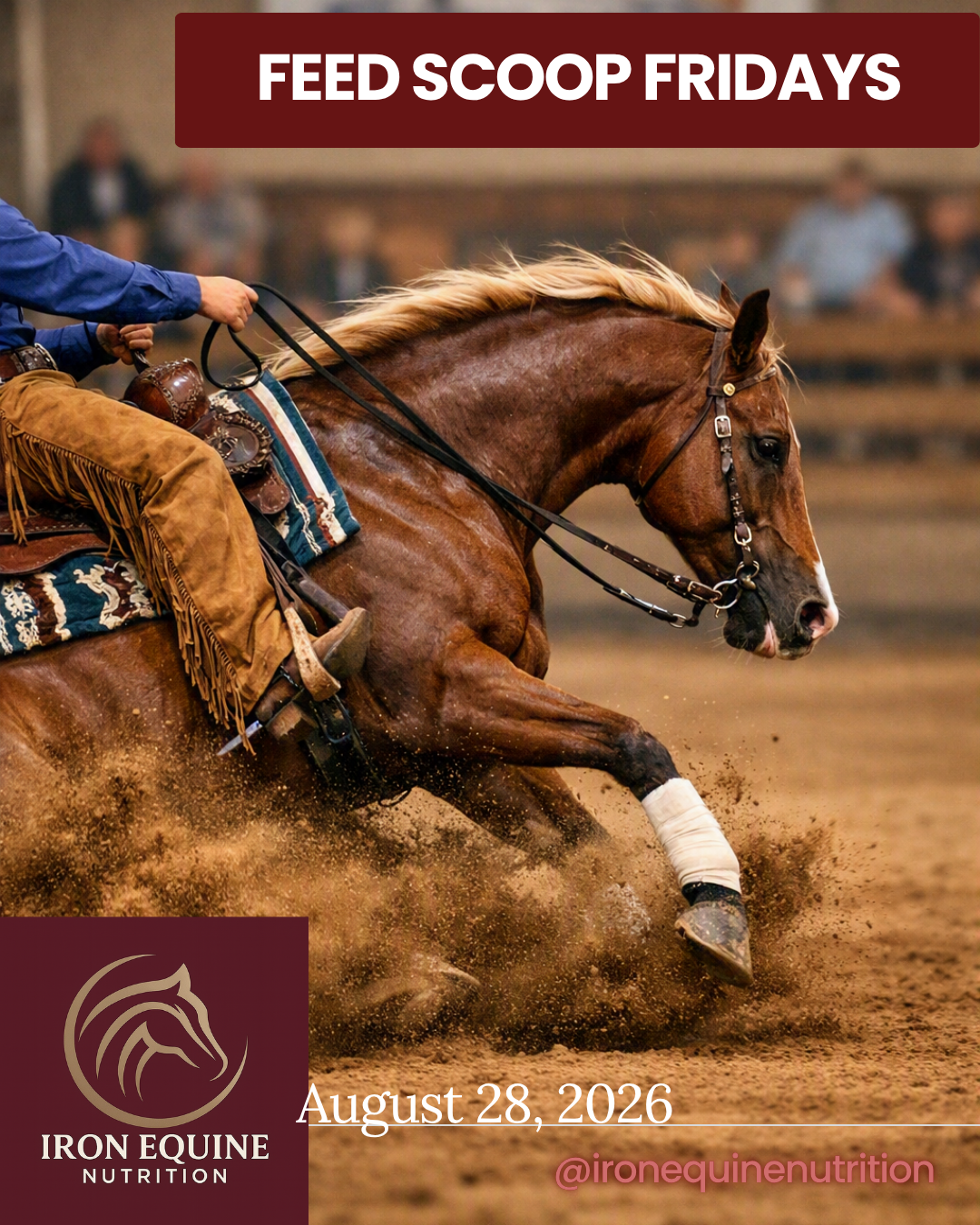 The Performance Horse