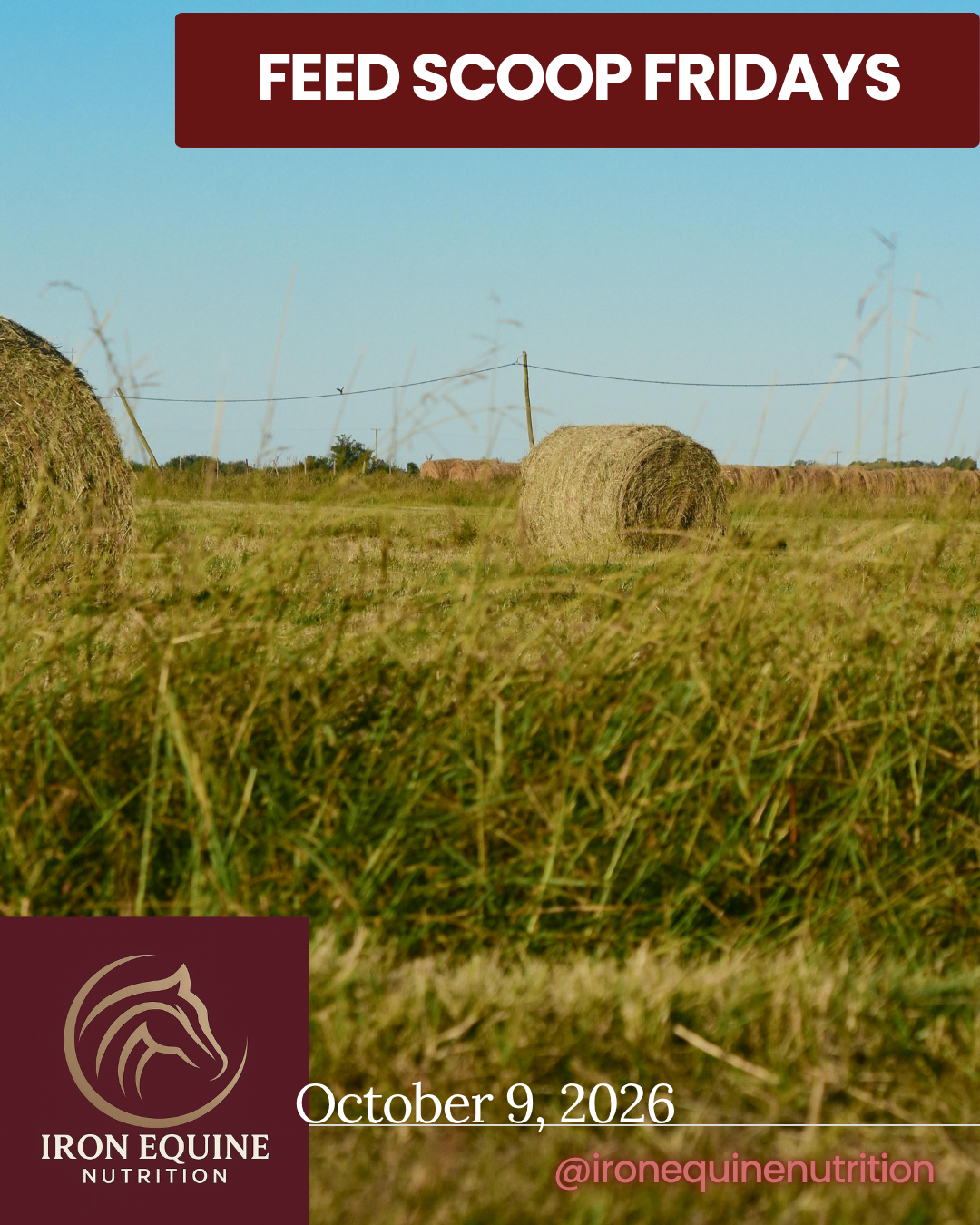 Why Forage Matters Most