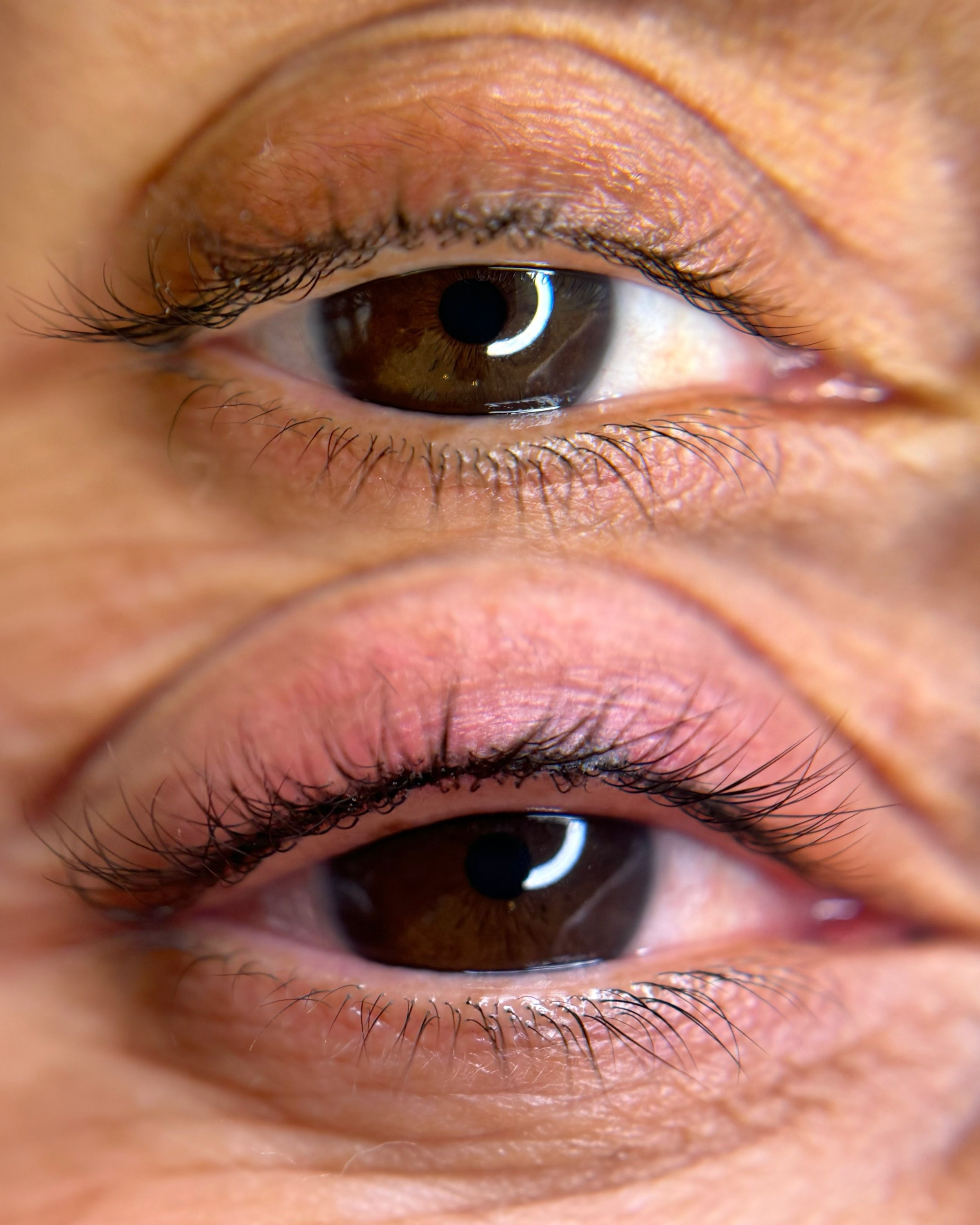 lash enhancement_8.jpg