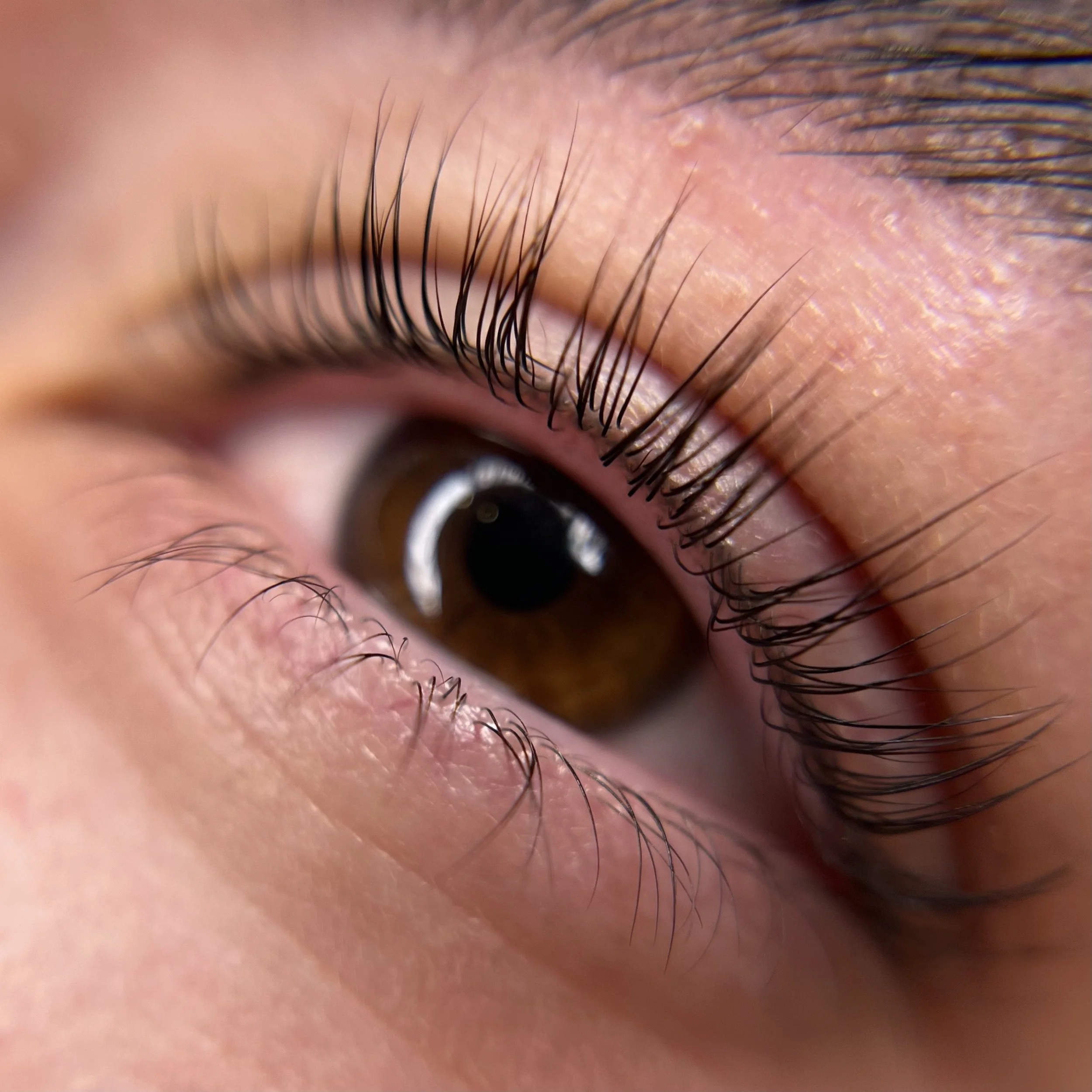 _lash enhancement_3.jpg