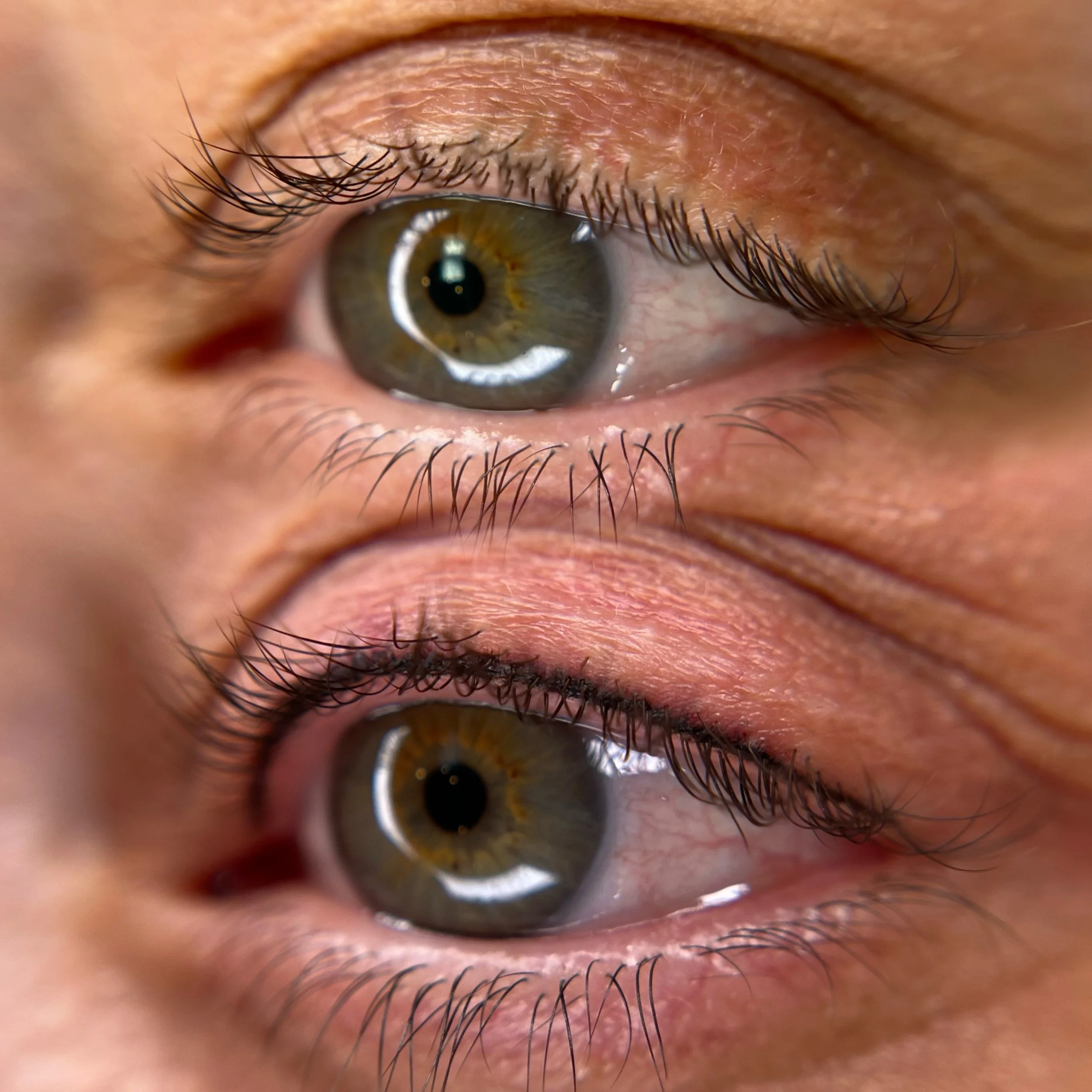 lash enhancement_2.jpg