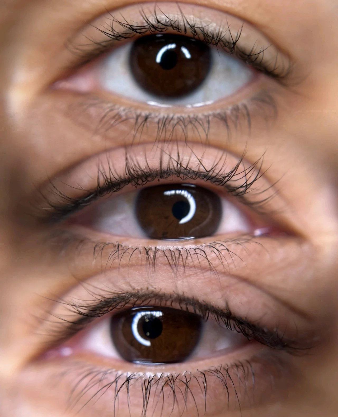 lash enhancement_5.jpg