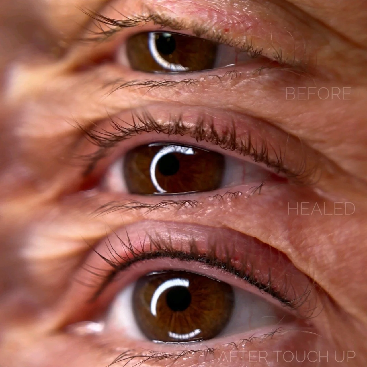 _lash enhancement_4.jpg