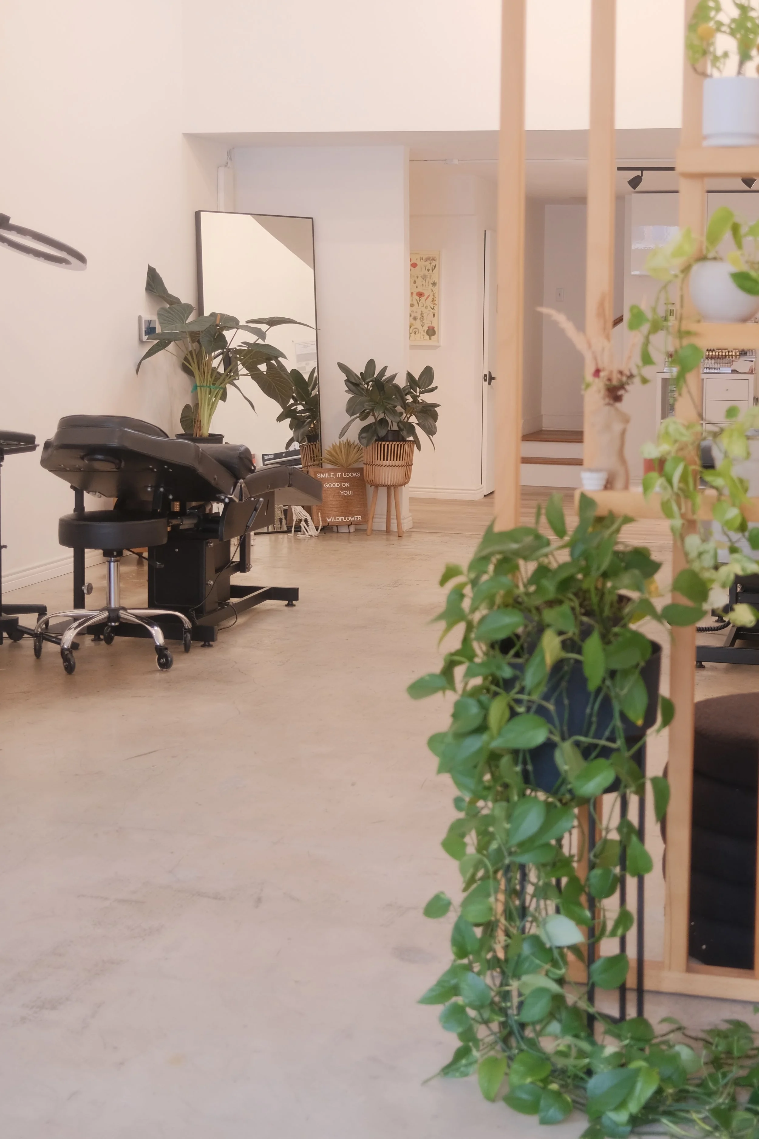 Wildflower beauty + brows Indoor space with a massage bed, several potted plants, a large mirror, and minimal decor in a modern, cozy setting.