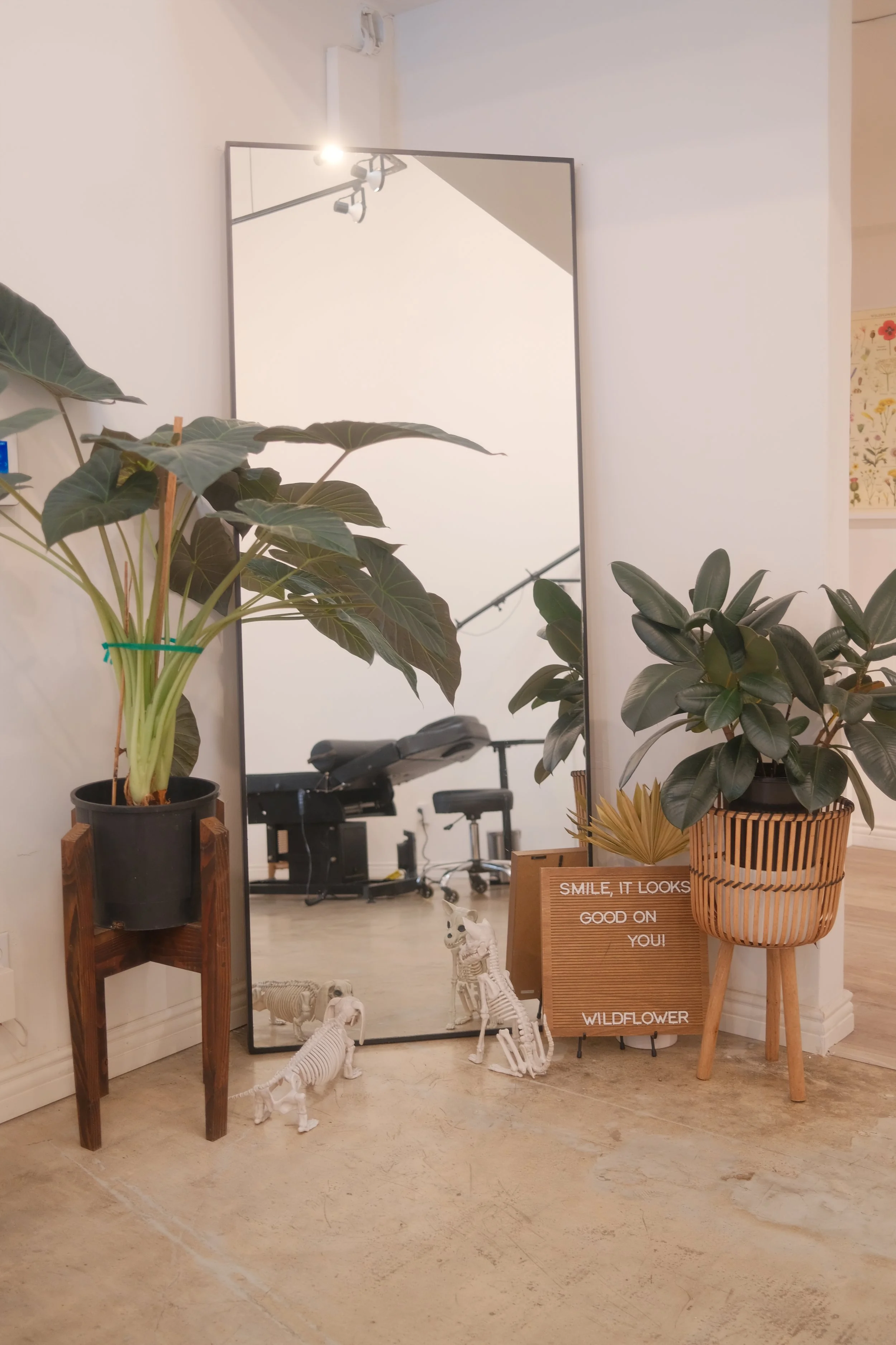 Wildflowers Interior space with a large mirror reflecting ceiling lights and a wooden stand with potted plants, skeleton decor, and a wooden sign that reads, "SMILE, IT LOOKS GOOD ON YOU! WILDFLOWER."