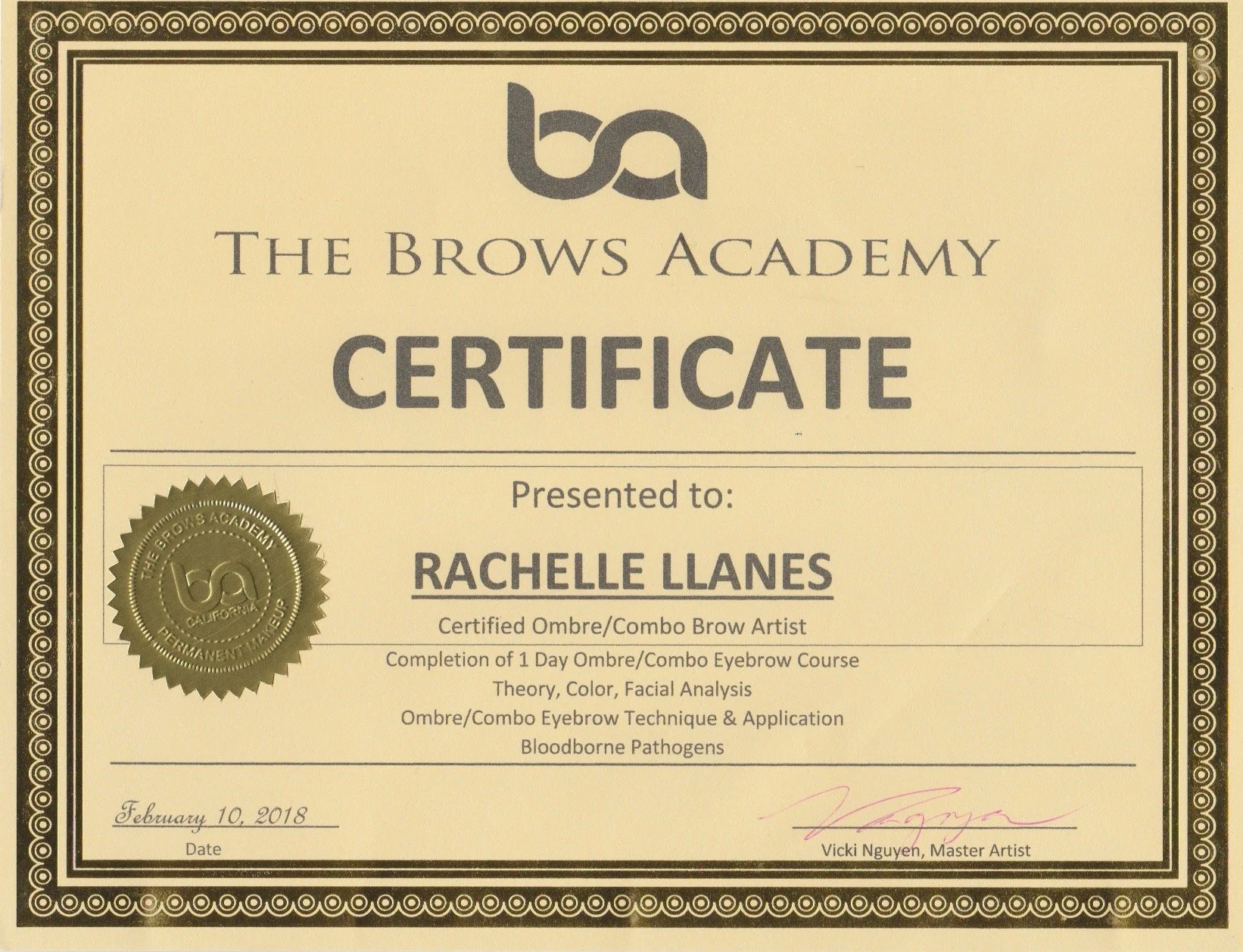 The Brows Academy - Ombre/Combo Brows