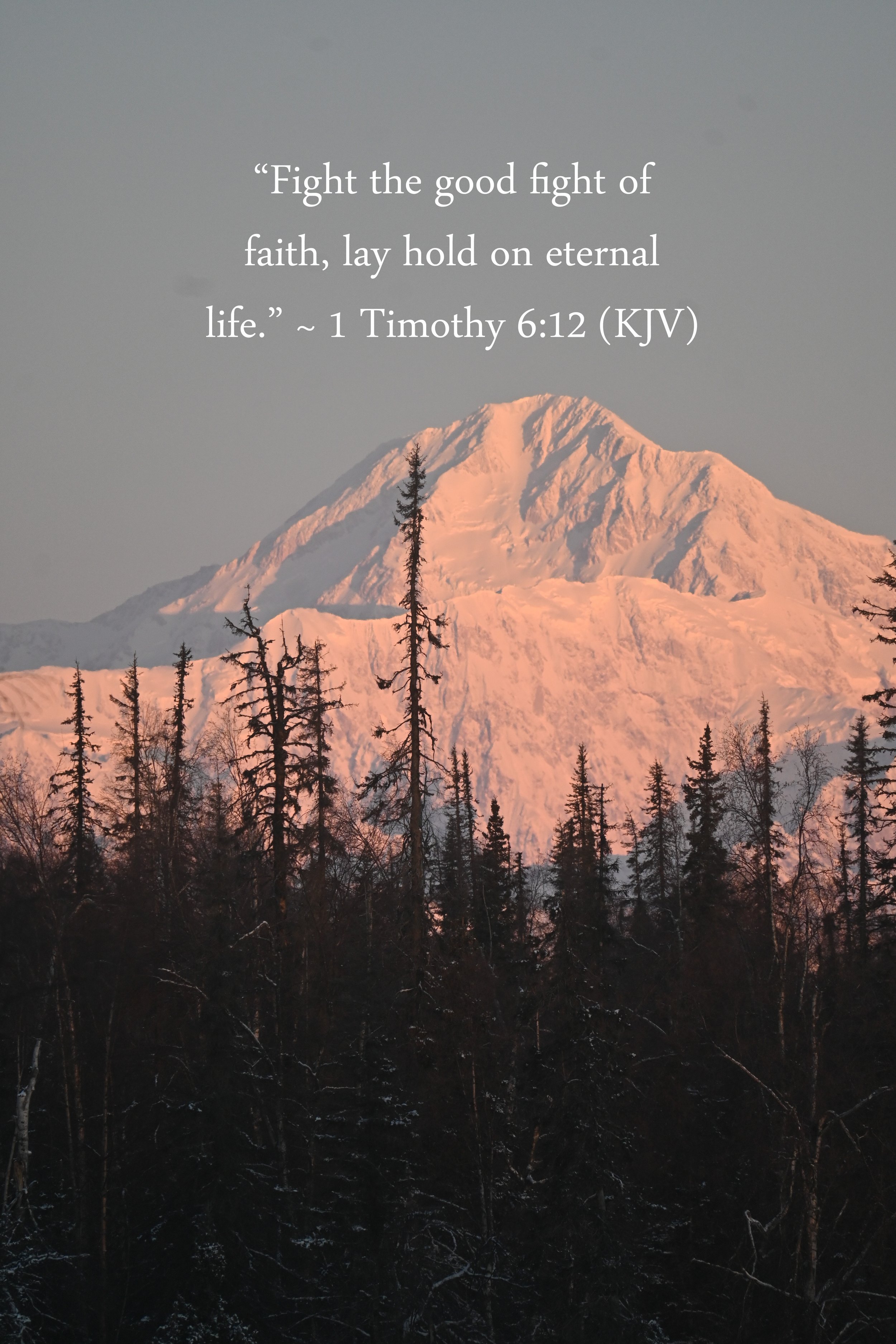 1 Timothy 6:12 (KJV)