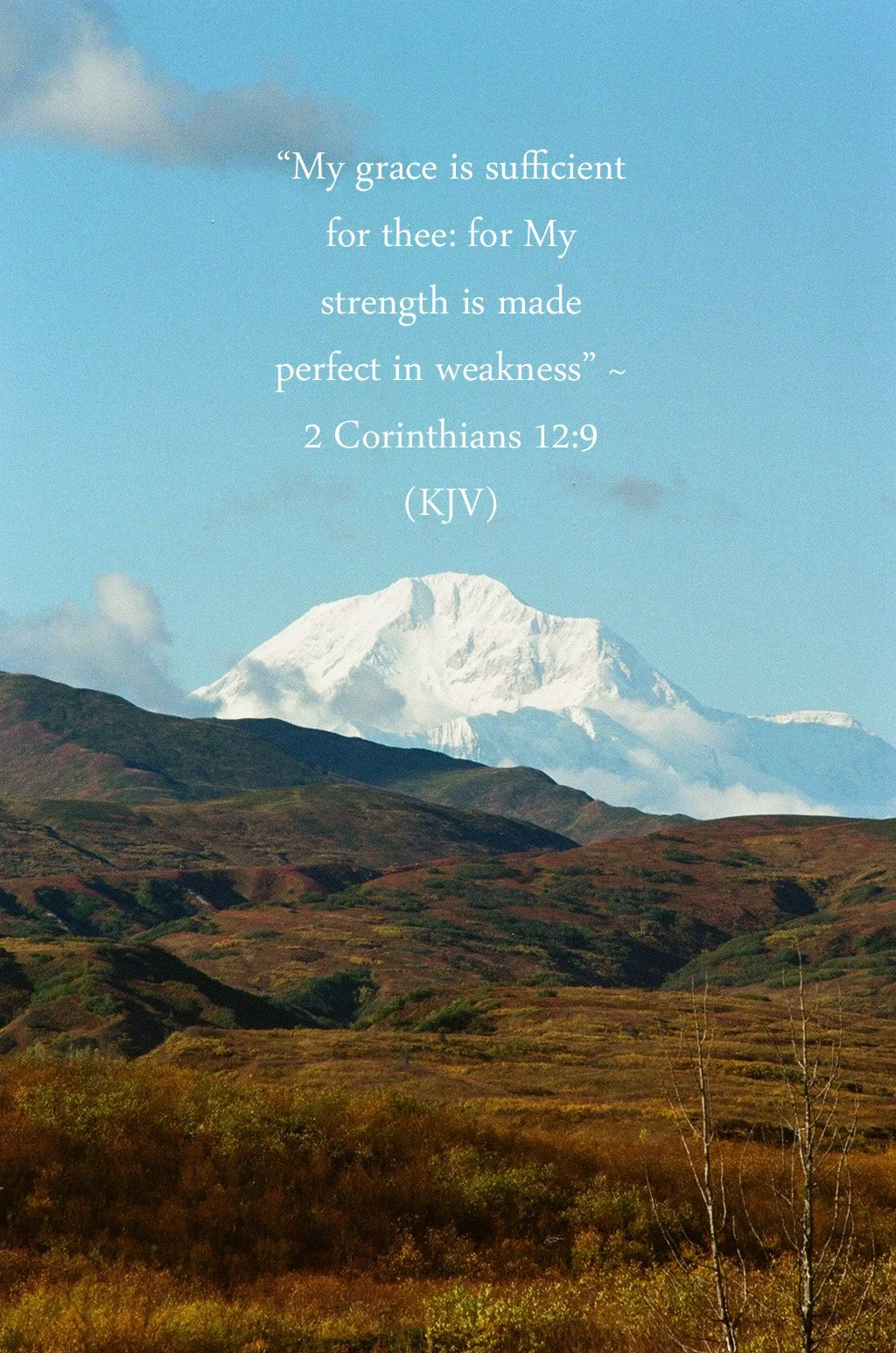 2 Corinthians 12:9 (KJV)