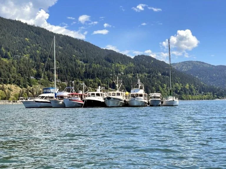 Shakedown Cruise