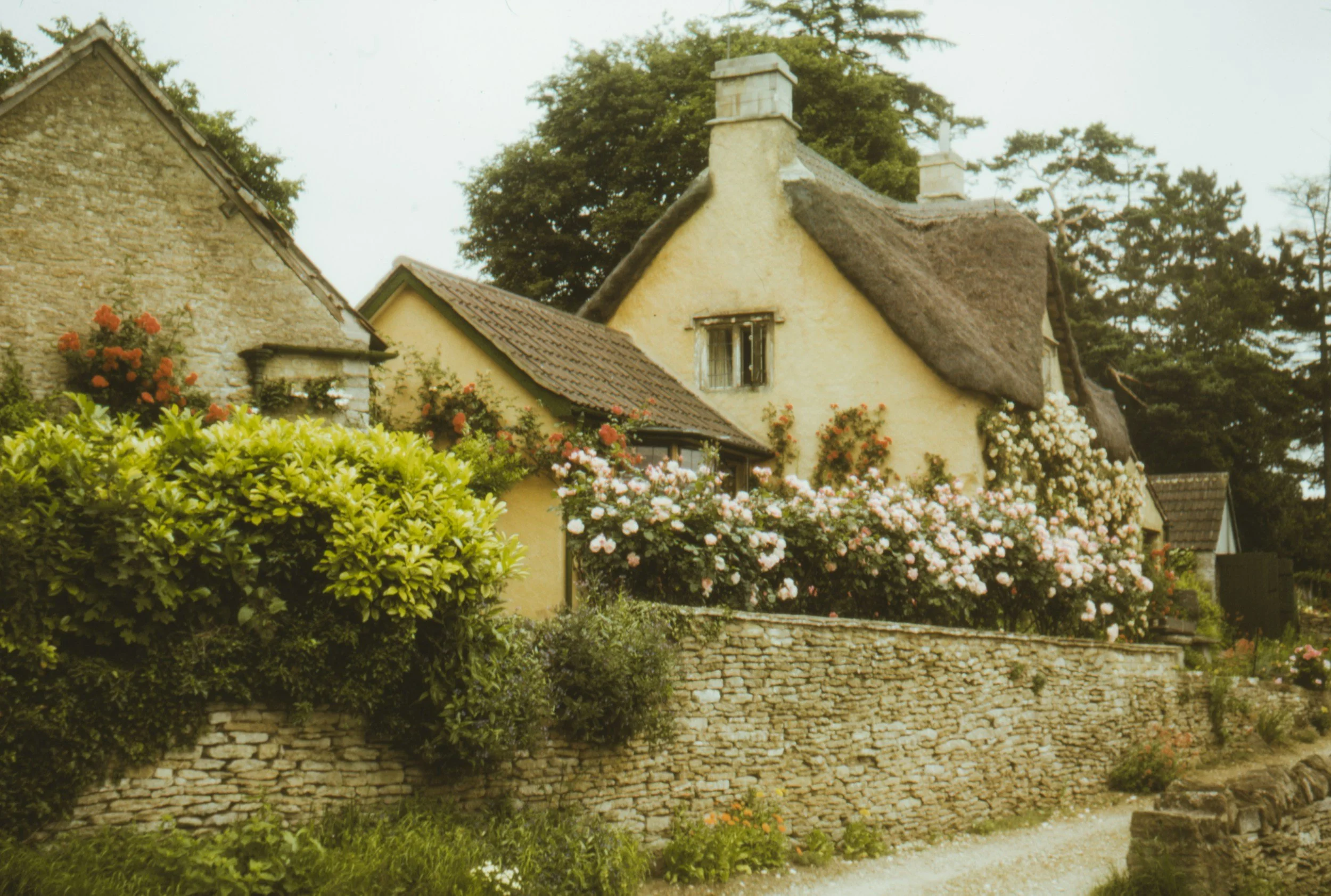 A charming cottage with a thatched roof, surrounded by colorful blooming flowers and lush greenery, with a stone wall in the foreground.