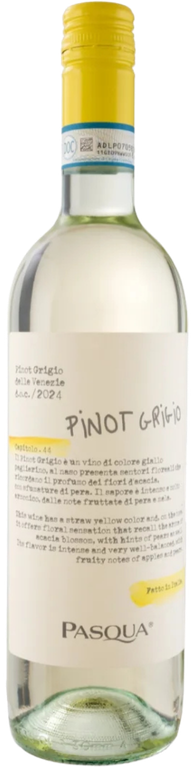 Pasqua Pinot Grigio Delle Venezie Capitolo DOC 2025 bottle
